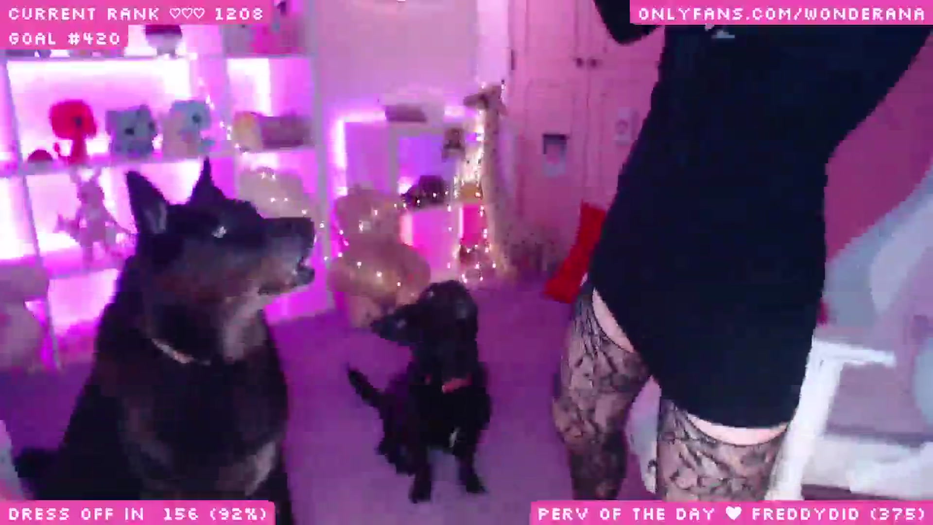 Gallery image thumbnail from WonderAna's myfreecams stream on, 06/12/2025, 02:23 image 12 of 20