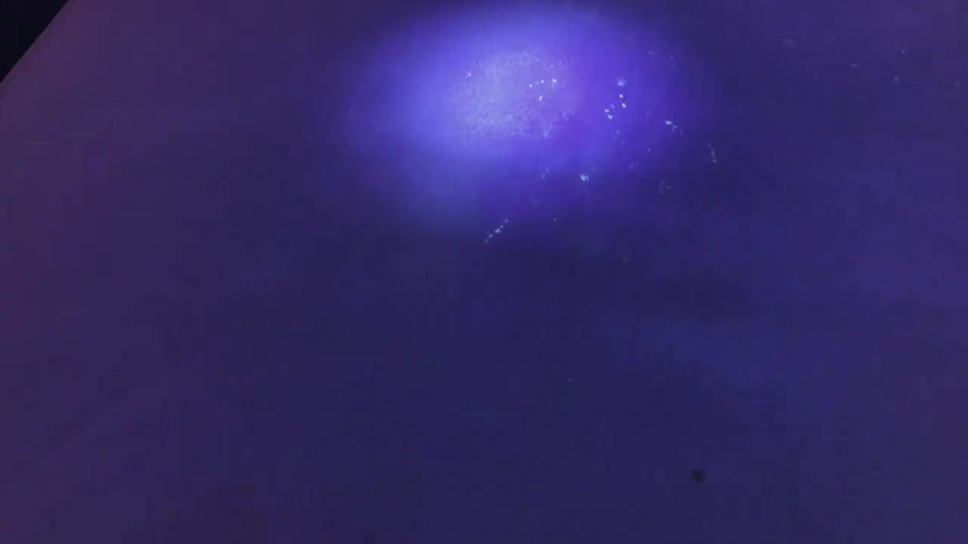 Gallery image thumbnail from WorldofMoody's myfreecams stream on, 06/23/2026, 07:54 image 10 of 20