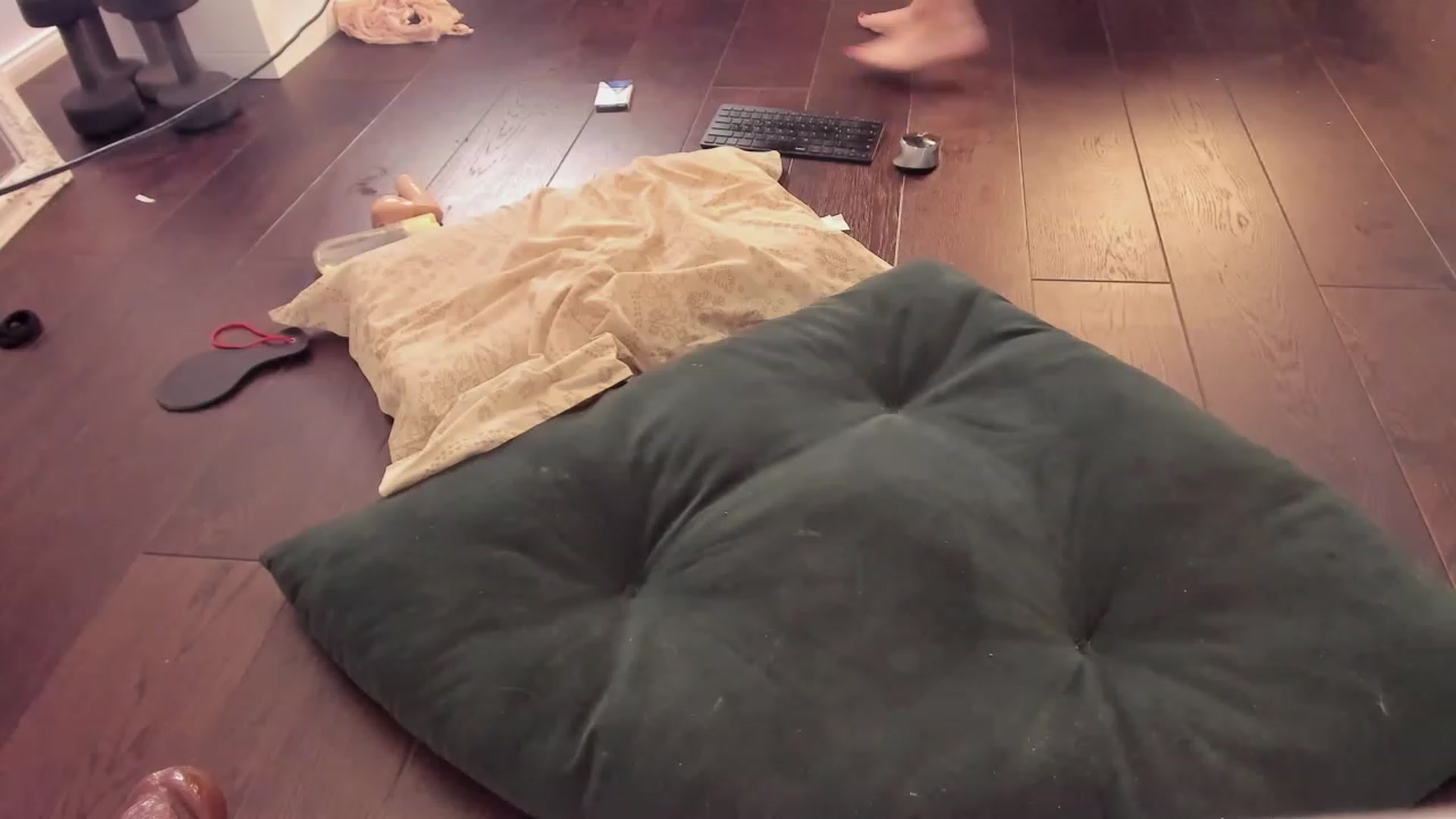 Gallery image thumbnail from WorstAss's myfreecams stream on, 07/04/2023, 10:55 image 7 of 20