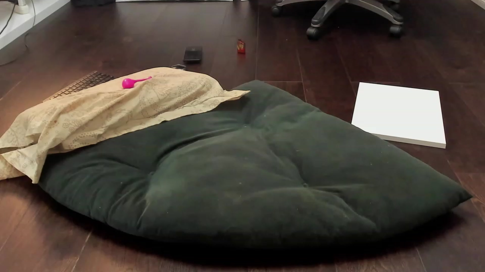 Gallery image thumbnail from WorstAss's myfreecams stream on, 08/22/2023, 08:40 image 14 of 20