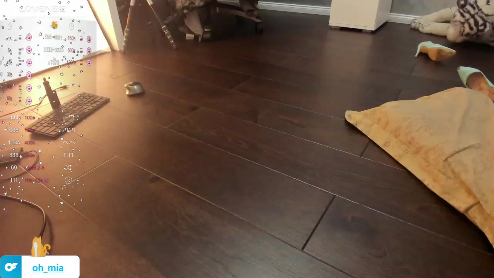 Gallery image thumbnail from WorstAss's myfreecams stream on, 03/02/2024, 09:25 image 9 of 20