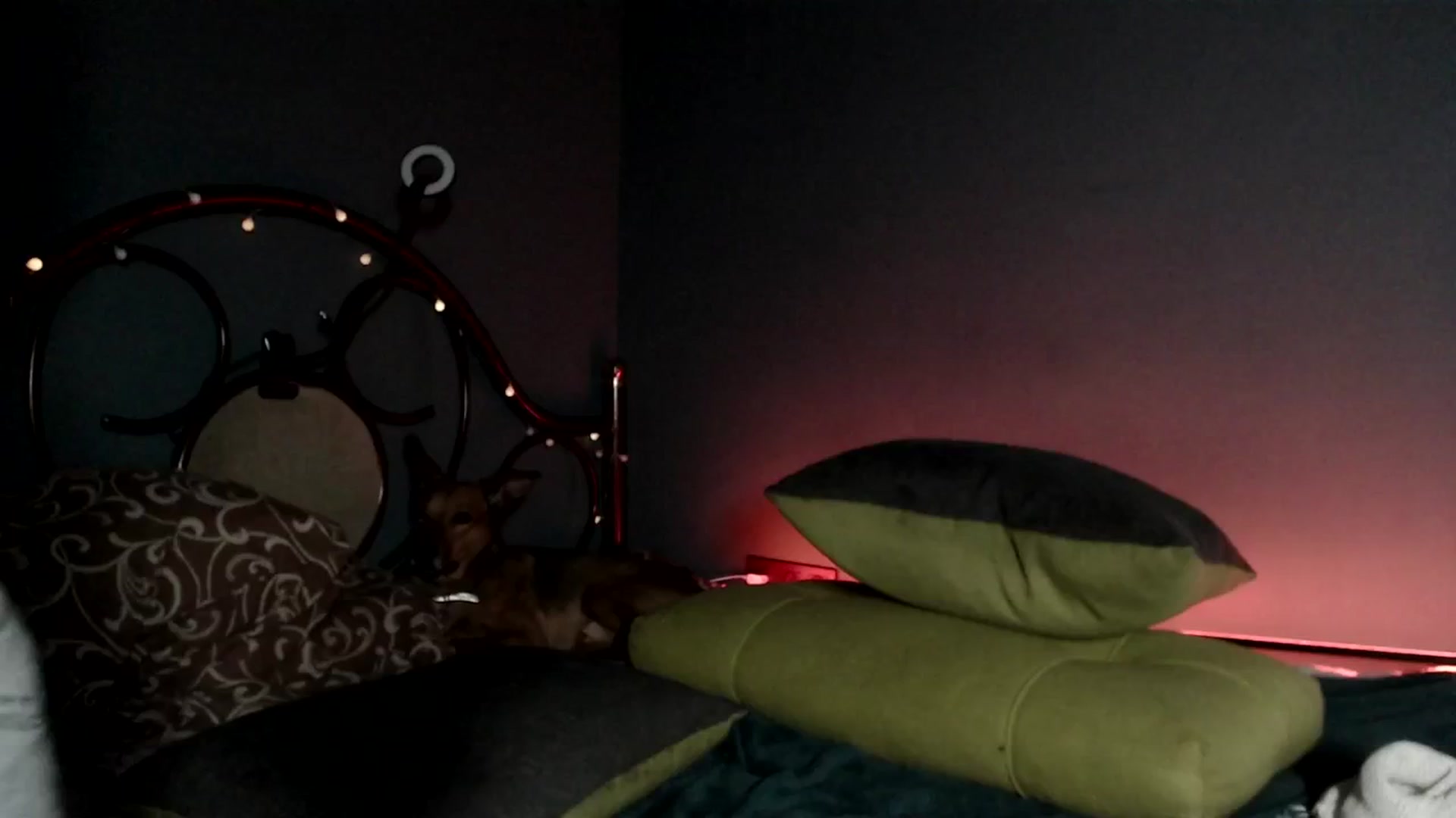 Gallery image thumbnail from Wow__kelly's myfreecams stream on, 01/03/2025, 17:30 image 8 of 20