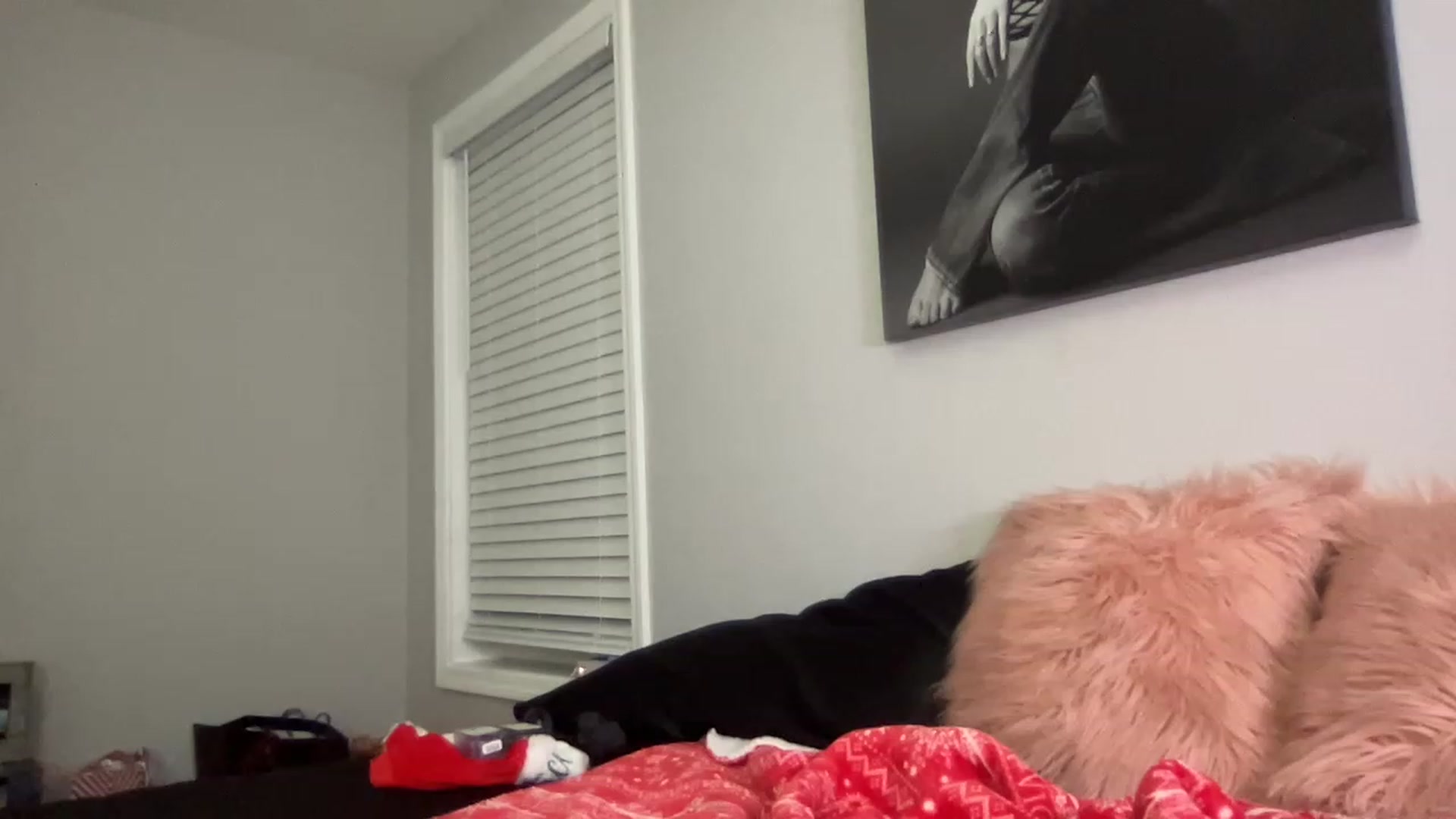 Gallery image thumbnail from XEllieraeX's myfreecams stream on, 12/26/2022, 02:24 image 6 of 20