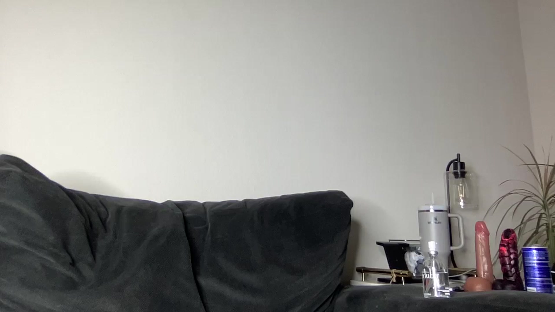 Gallery image thumbnail from XEllieraeX's myfreecams stream on, 09/11/2023, 03:32 image 2 of 20