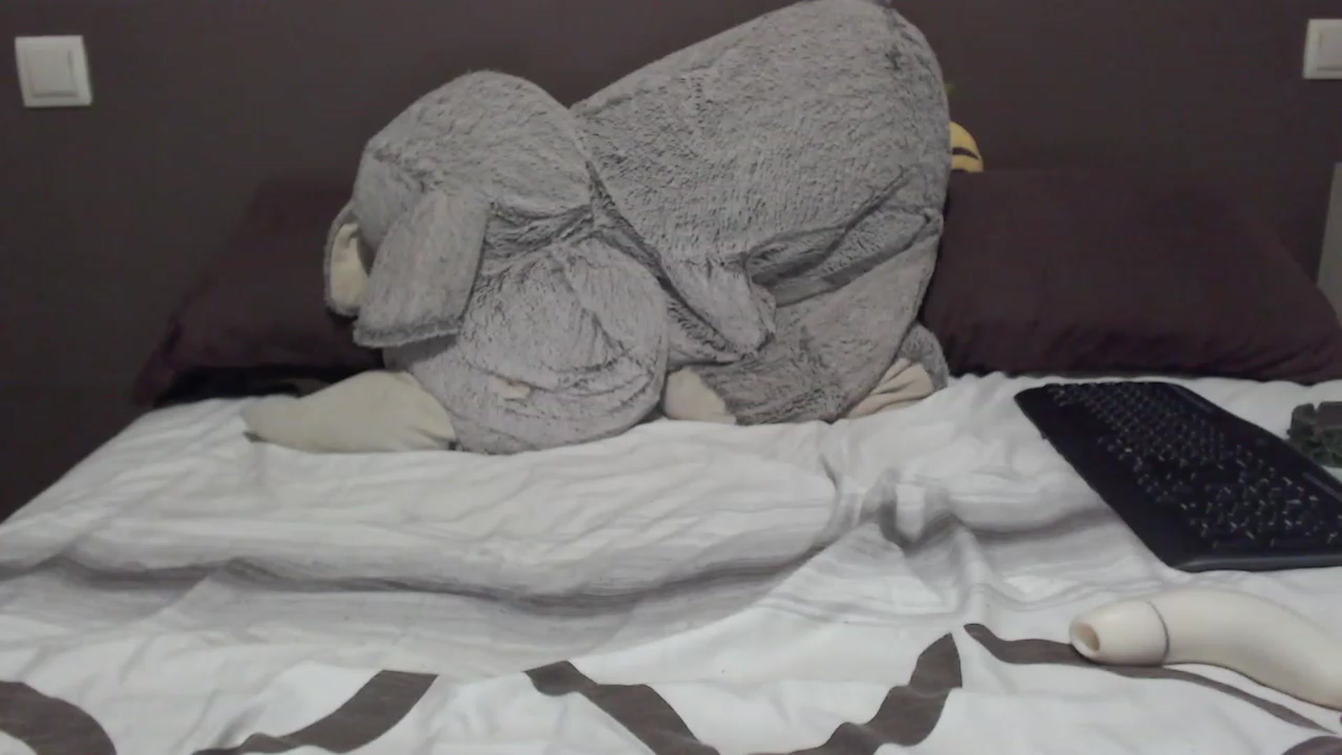 Gallery image thumbnail from XHornycandyX's myfreecams stream on, 11/19/2022, 20:29 image 13 of 20