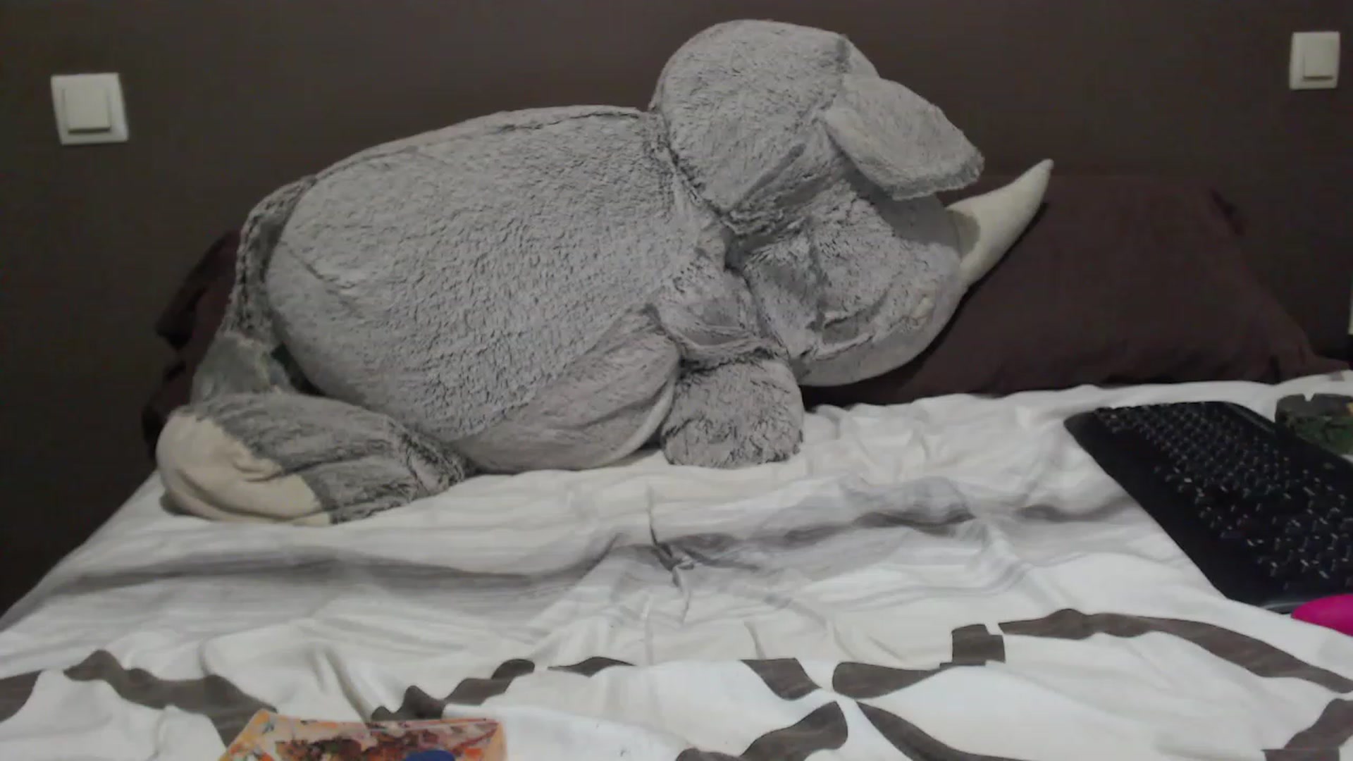 Gallery image thumbnail from XHornycandyX's myfreecams stream on, 11/23/2022, 20:45 image 20 of 20