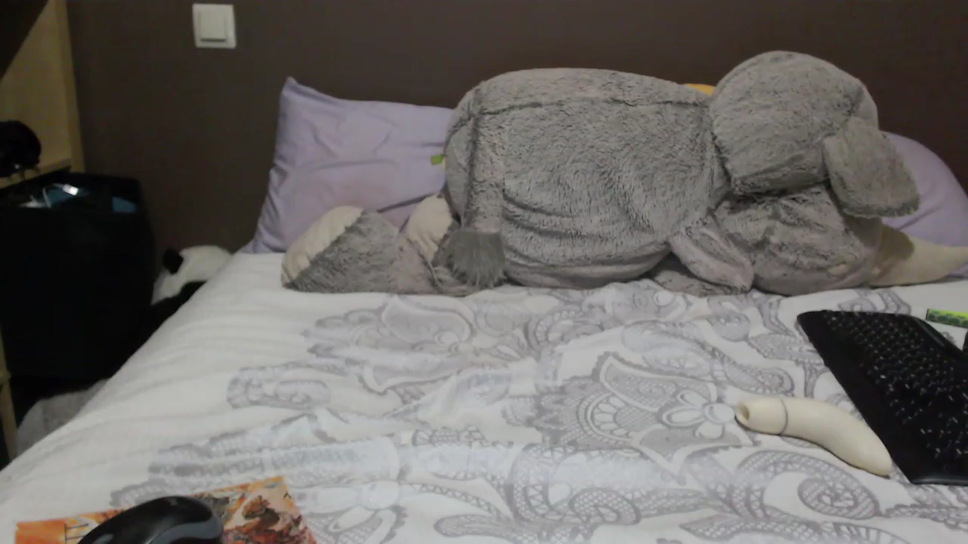 Gallery image thumbnail from XHornycandyX's myfreecams stream on, 12/26/2022, 18:58 image 15 of 20