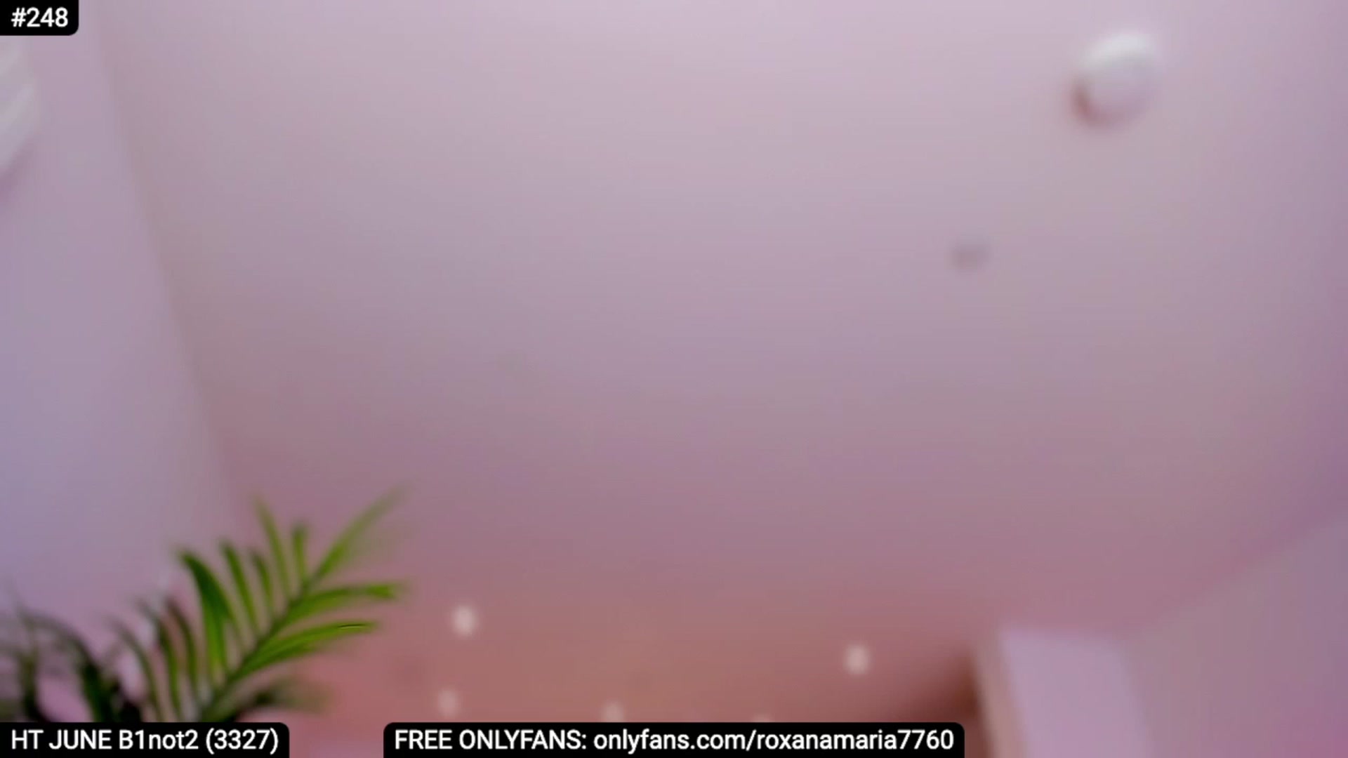 Gallery image thumbnail from XMirrabbellaX's myfreecams stream on, 06/13/2023, 14:33 image 2 of 20