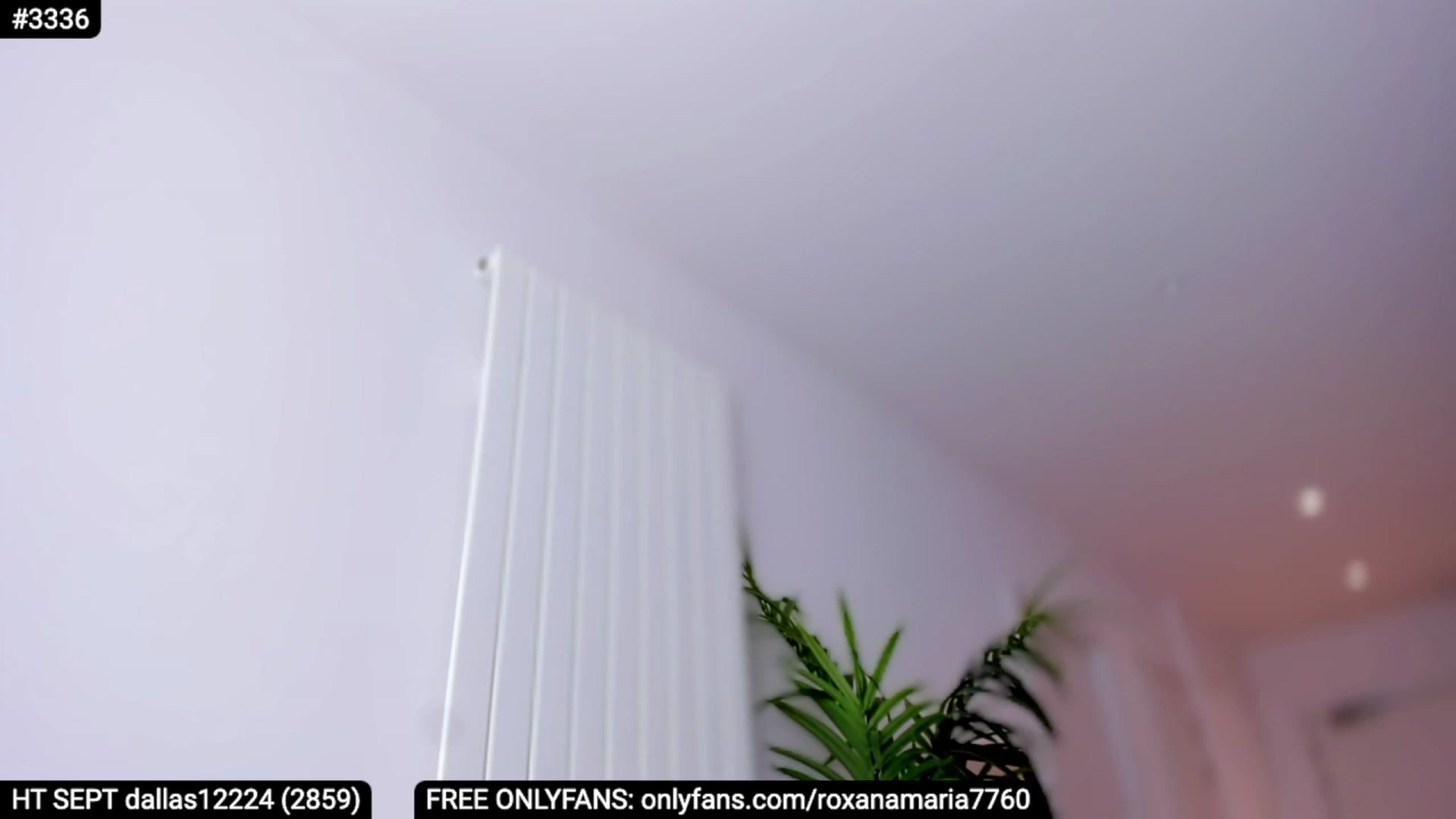 Gallery image thumbnail from XMirrabbellaX's myfreecams stream on, 09/22/2023, 16:19 image 4 of 20