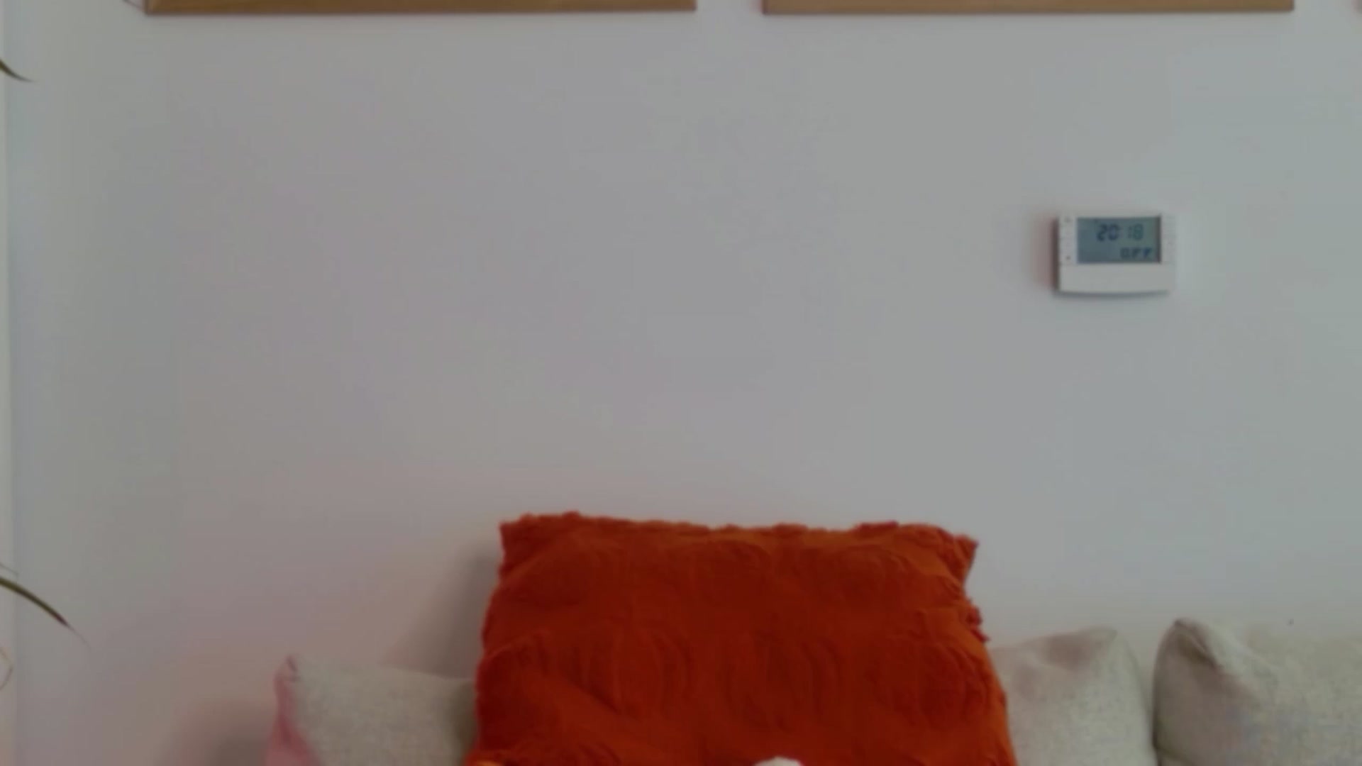 Gallery image thumbnail from XMirrabbellaX's myfreecams stream on, 08/04/2026, 16:46 image 9 of 20