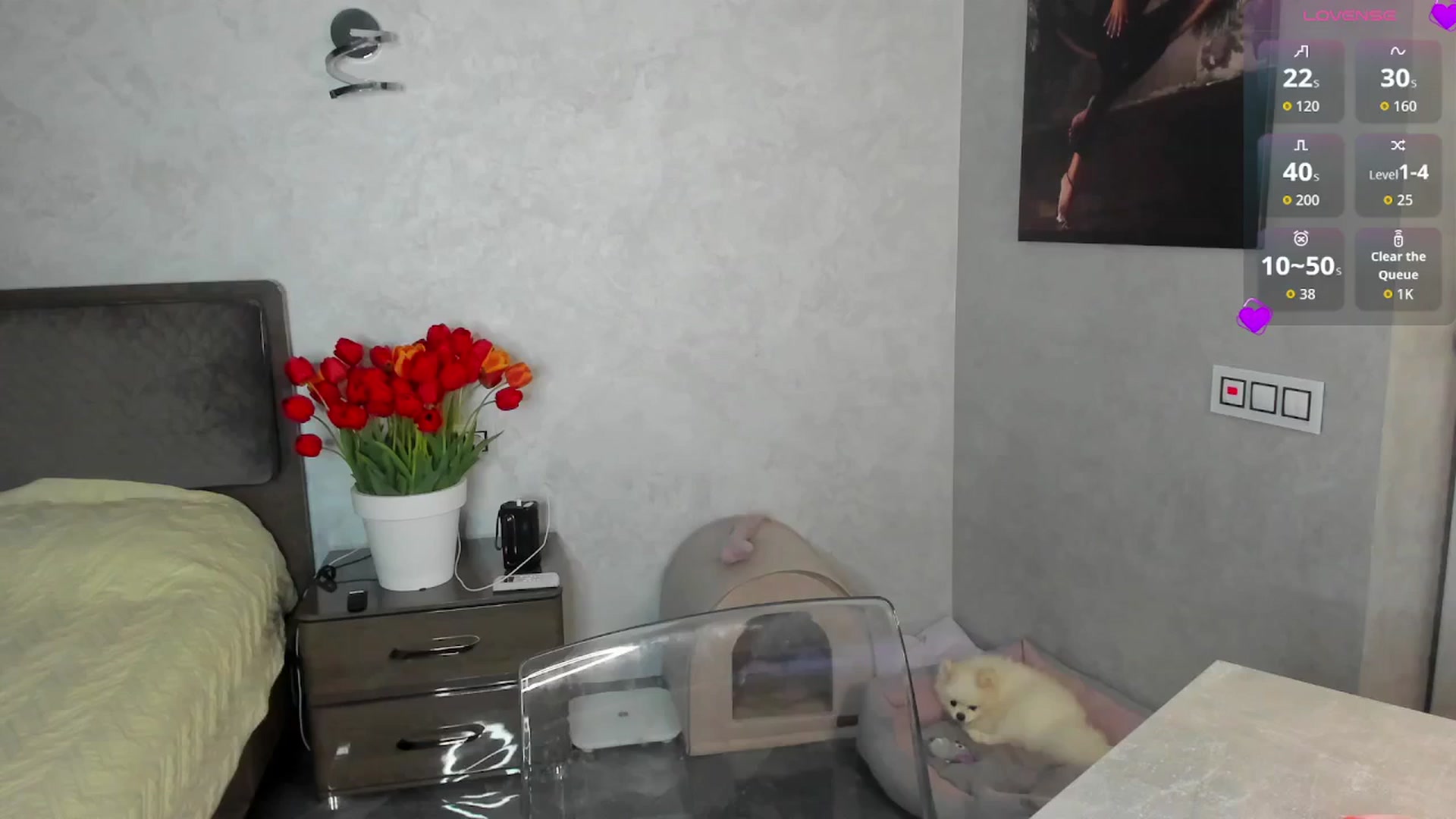 Gallery image thumbnail from XO_Kate_'s myfreecams stream on, 04/19/2026, 17:10 image 17 of 20