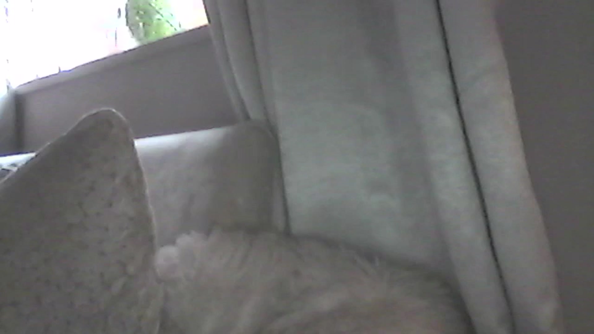 Gallery image thumbnail from X_TALLOULAH_X's myfreecams stream on, 07/01/2024, 18:44 image 6 of 20