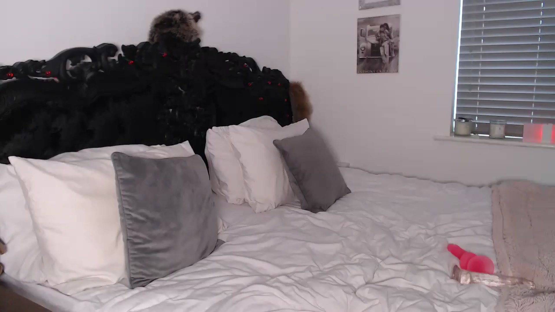 Gallery image thumbnail from Xbabe_Skyler's myfreecams stream on, 02/06/2025, 13:13 image 19 of 20