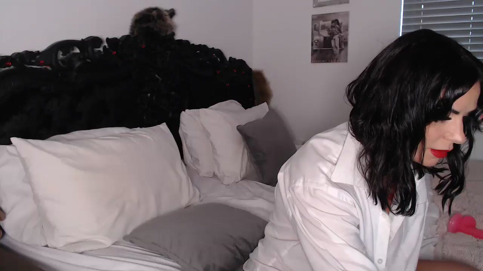 Gallery image thumbnail from Xbabe_Skyler's myfreecams stream on, 02/06/2025, 13:36 image 4 of 20