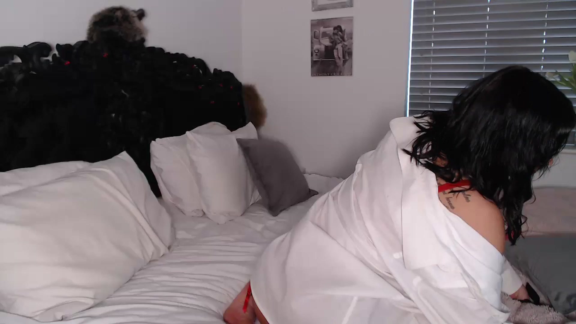 Gallery image thumbnail from Xbabe_Skyler's myfreecams stream on, 02/06/2025, 14:41 image 18 of 20
