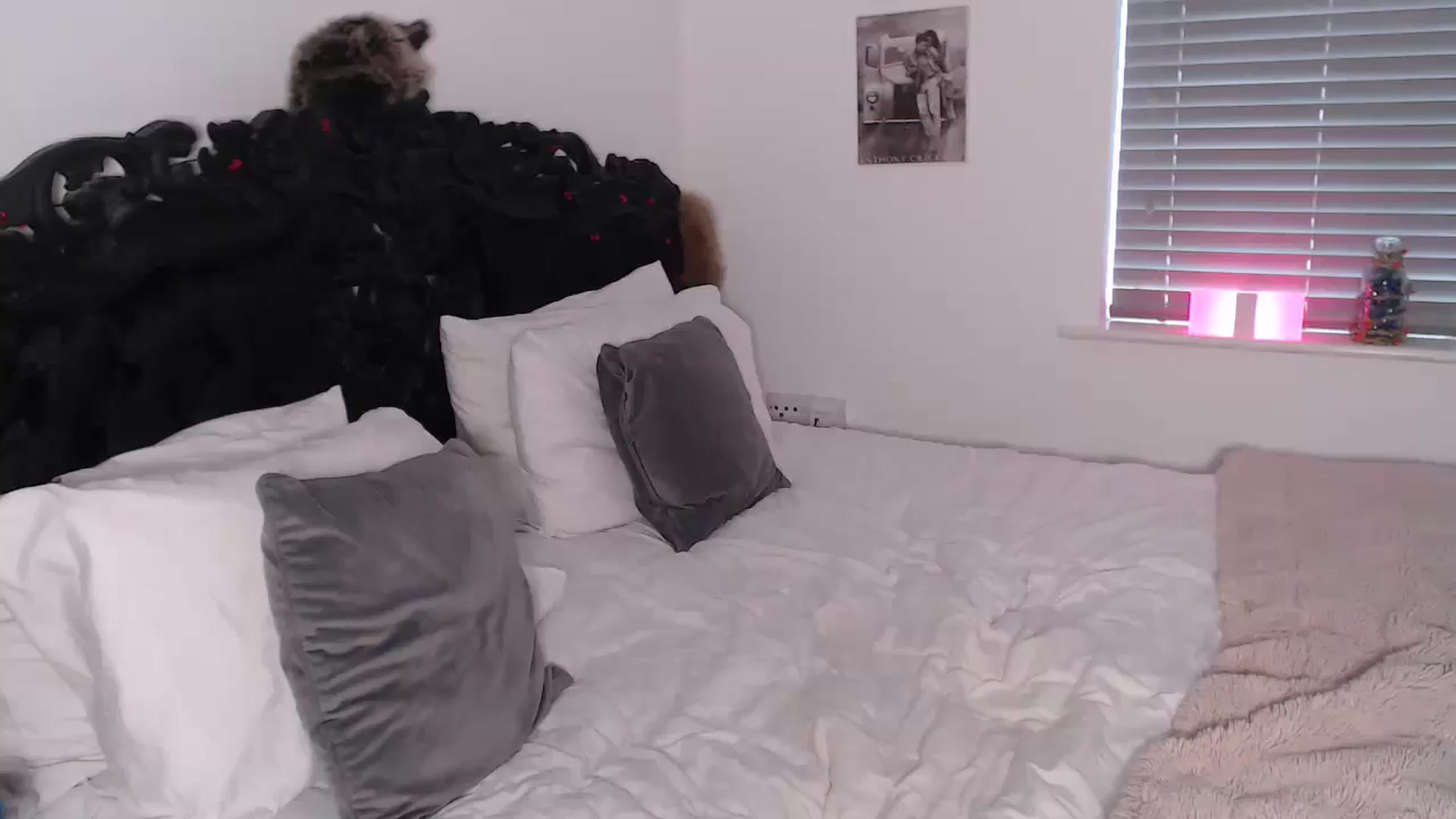 Gallery image thumbnail from Xbabe_Skyler's myfreecams stream on, 03/11/2025, 14:20 image 10 of 20