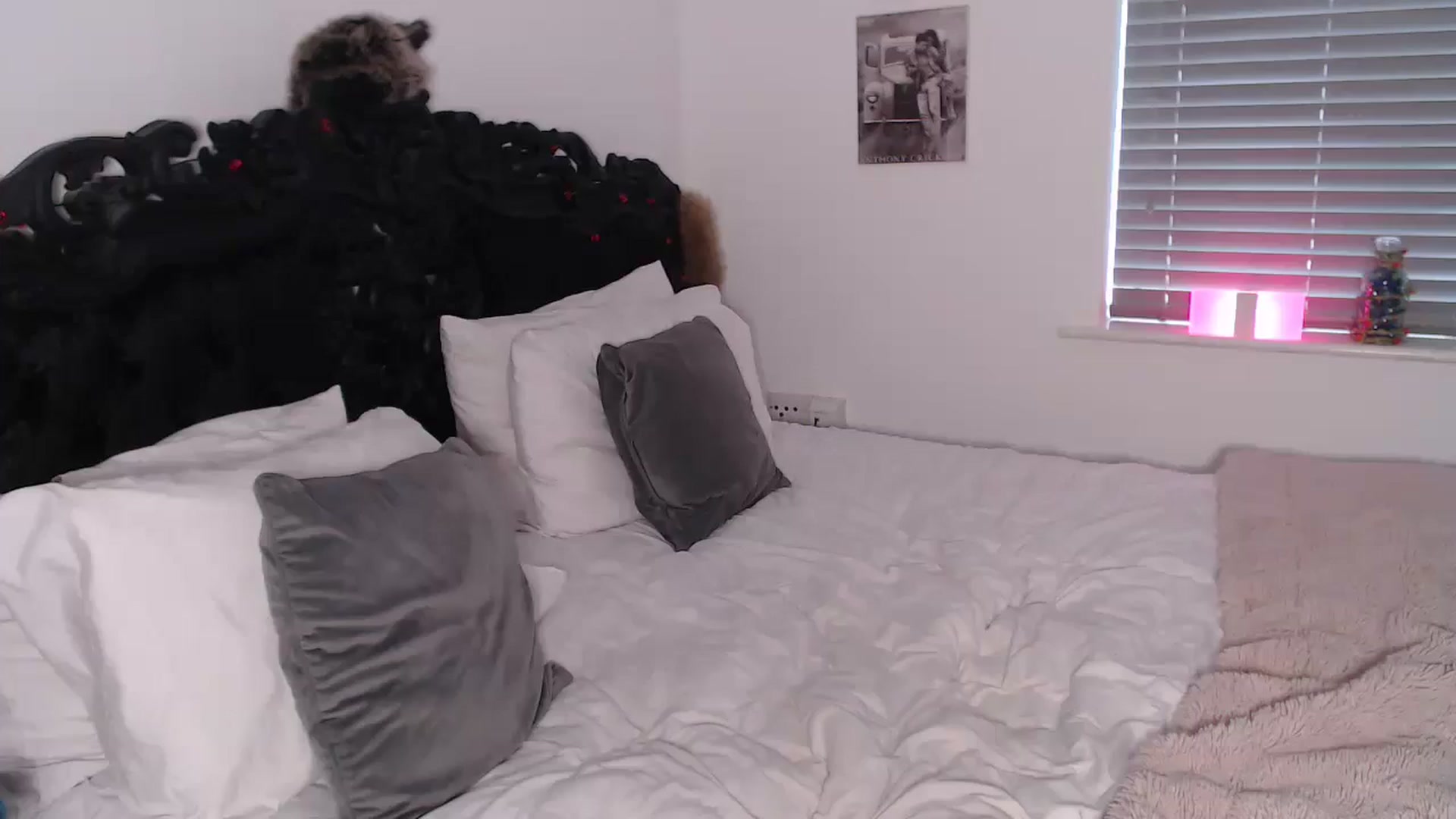 Gallery image thumbnail from Xbabe_Skyler's myfreecams stream on, 03/11/2025, 14:20 image 17 of 20
