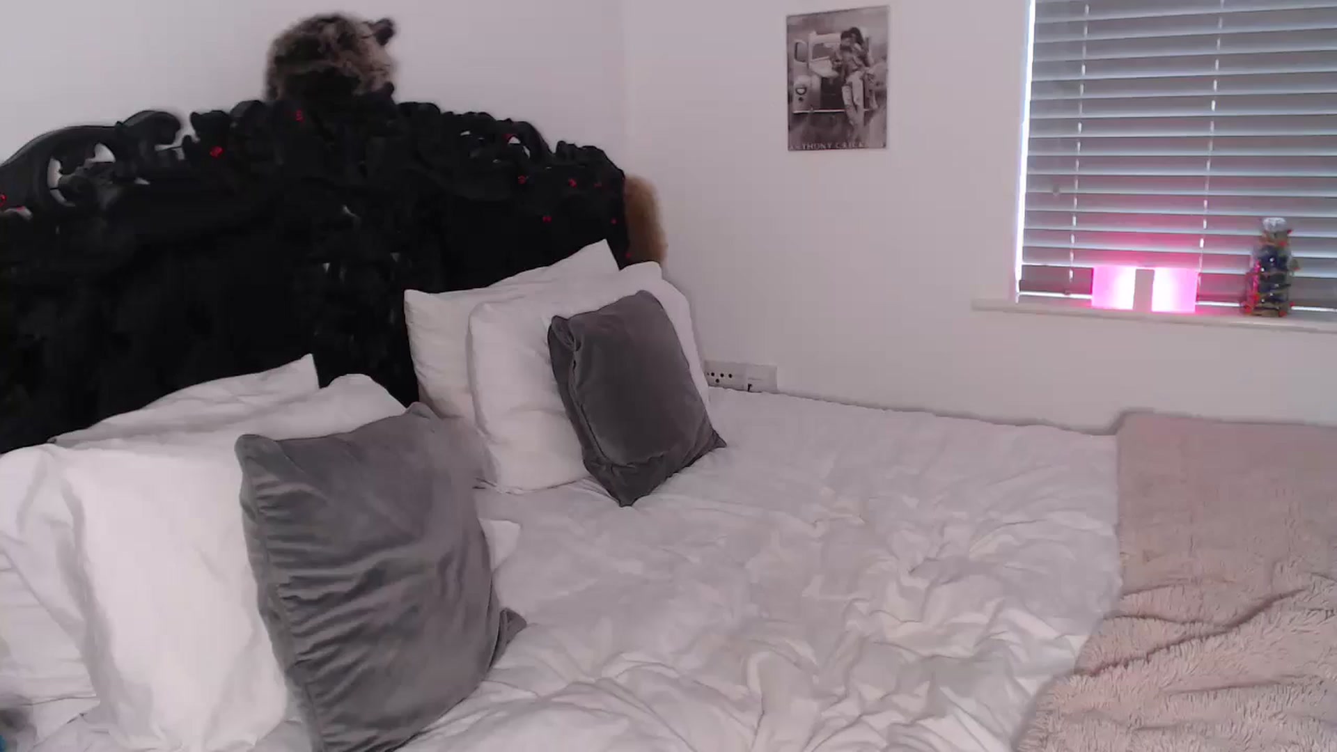 Gallery image thumbnail from Xbabe_Skyler's myfreecams stream on, 03/11/2025, 14:20 image 13 of 20