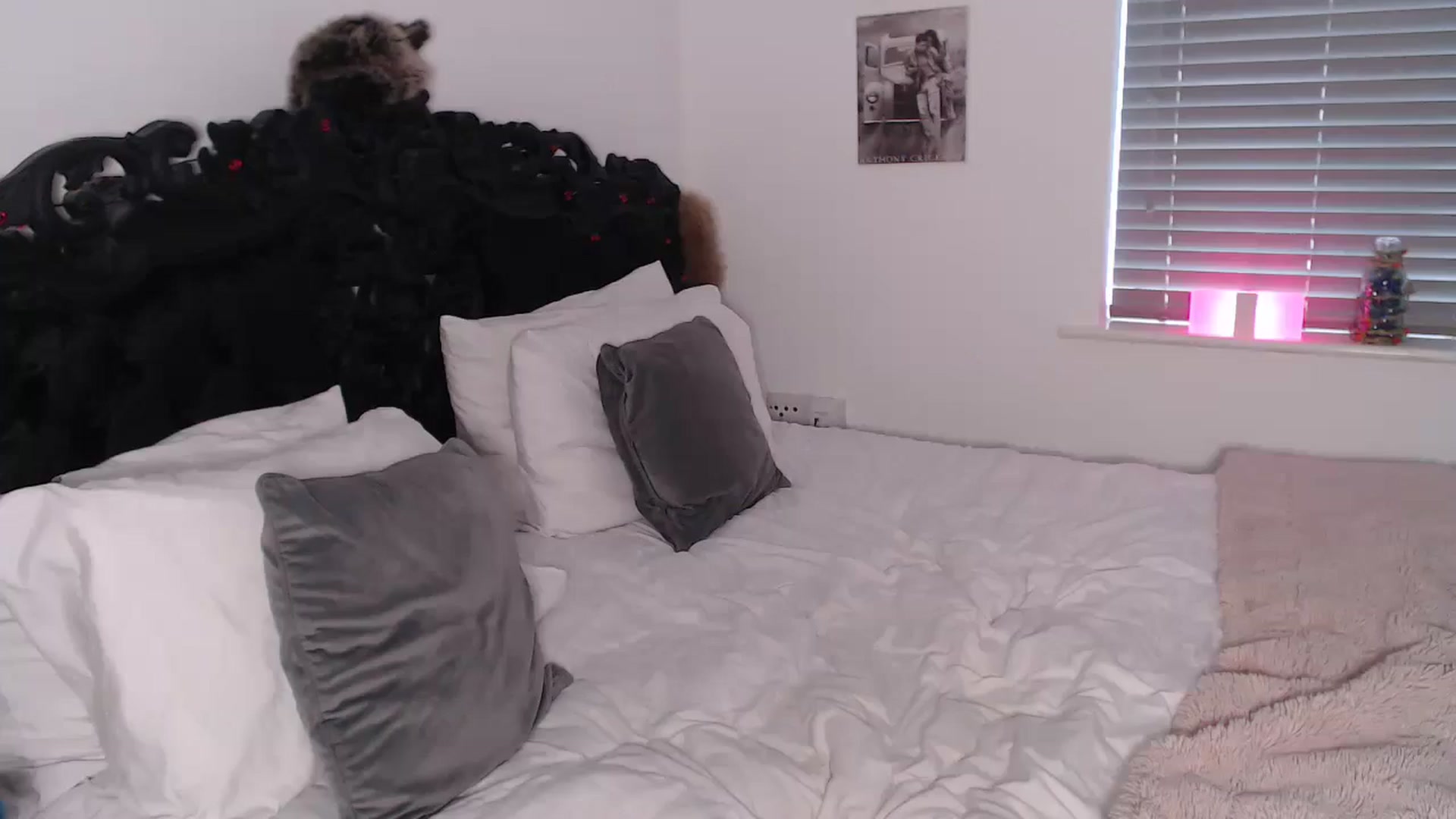 Gallery image thumbnail from Xbabe_Skyler's myfreecams stream on, 03/11/2025, 14:20 image 14 of 20