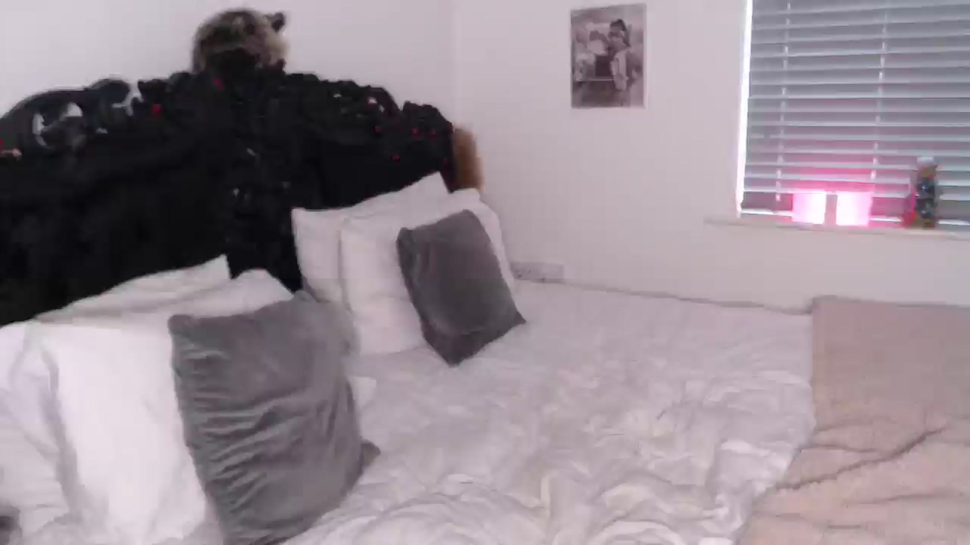 Gallery image thumbnail from Xbabe_Skyler's myfreecams stream on, 03/11/2025, 14:20 image 15 of 20