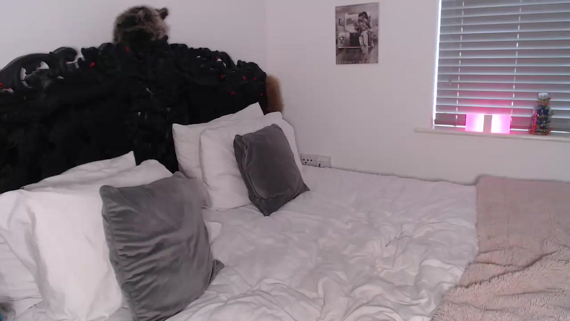 Gallery image thumbnail from Xbabe_Skyler's myfreecams stream on, 03/11/2025, 14:20 image 16 of 20
