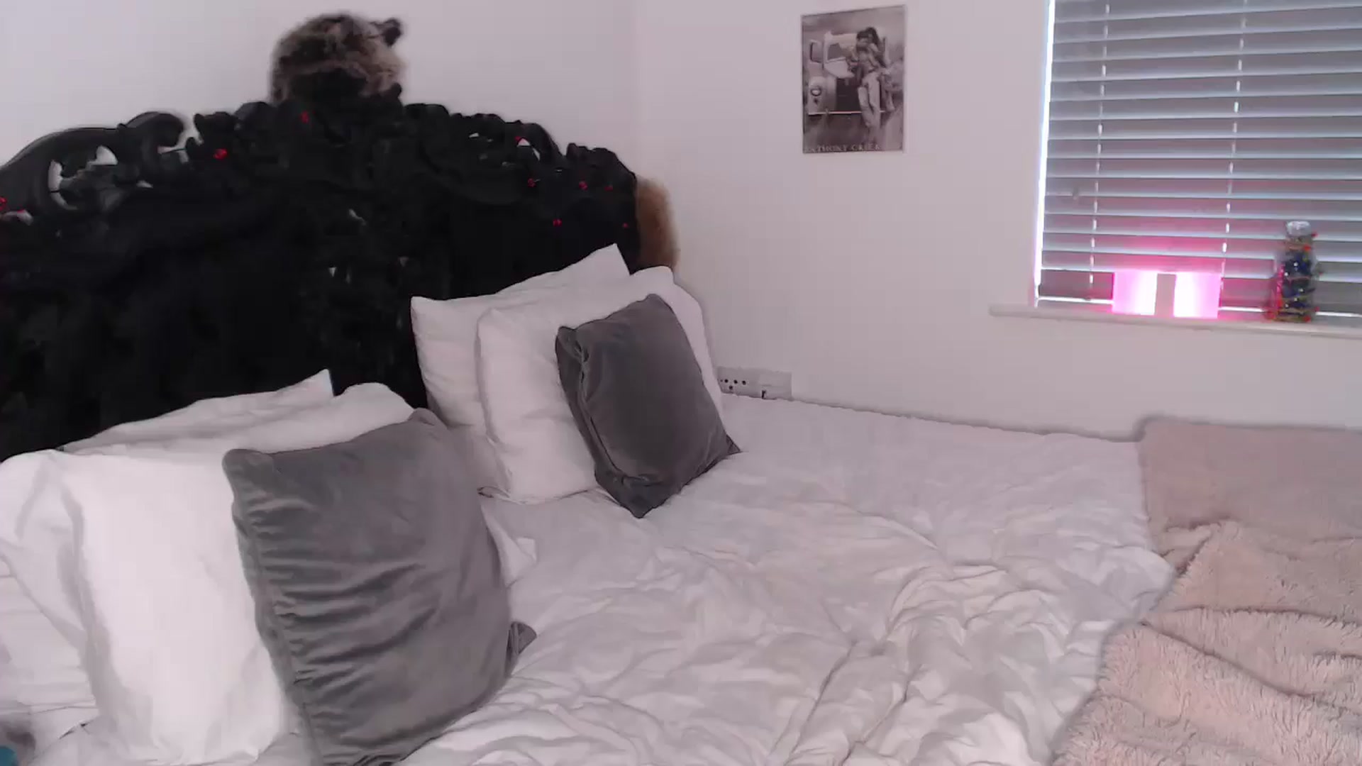 Gallery image thumbnail from Xbabe_Skyler's myfreecams stream on, 03/11/2025, 14:50 image 1 of 20