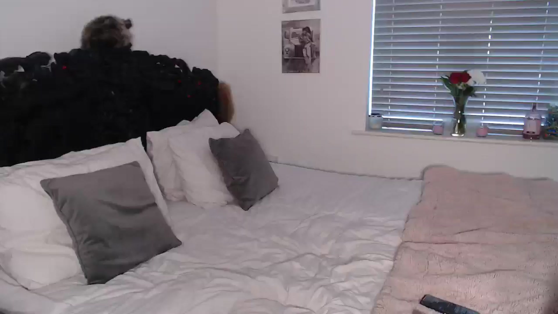 Gallery image thumbnail from Xbabe_Skyler's myfreecams stream on, 04/13/2025, 14:01 image 1 of 20