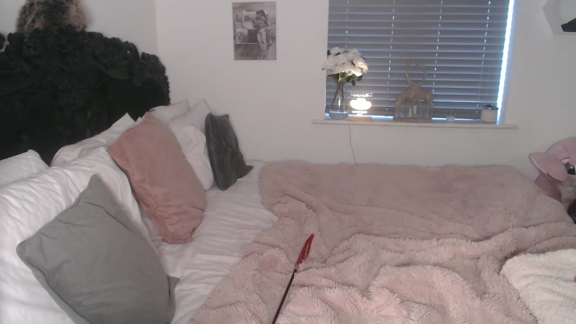 Gallery image thumbnail from Xbabe_Skyler's myfreecams stream on, 01/31/2026, 15:26 image 13 of 20