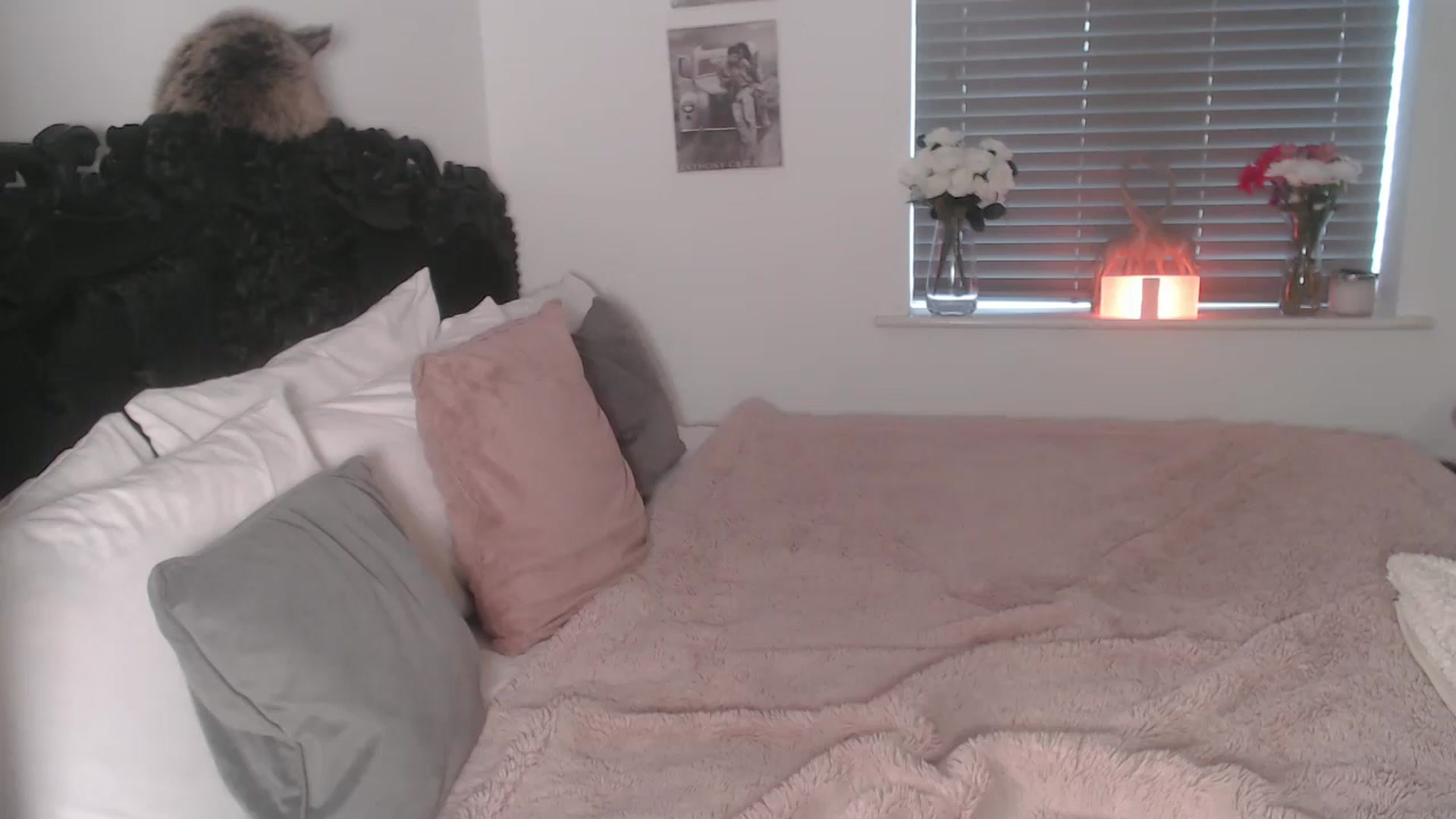 Gallery image thumbnail from Xbabe_Skyler's myfreecams stream on, 03/24/2026, 12:50 image 9 of 20