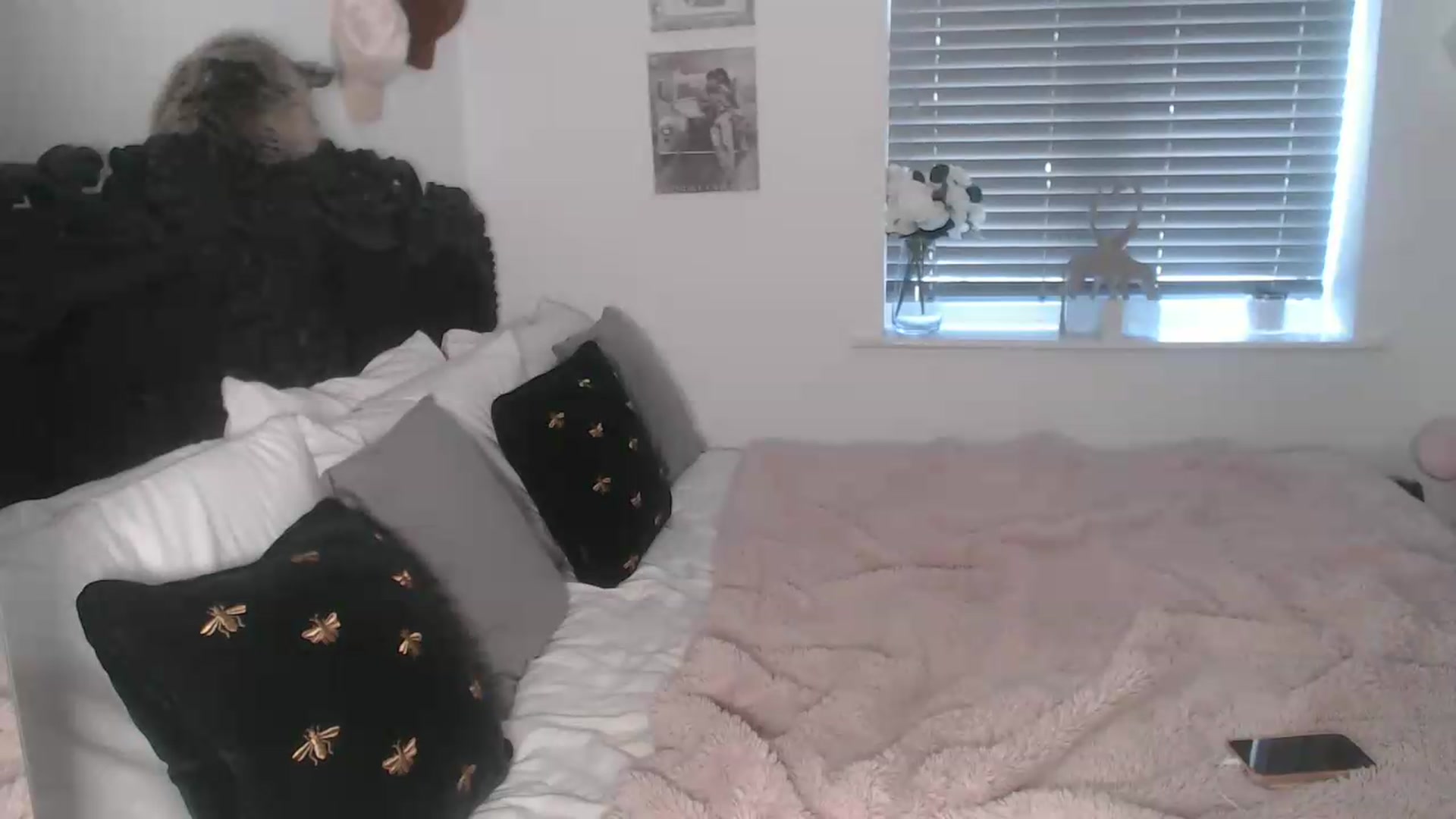 Gallery image thumbnail from Xbabe_Skyler's myfreecams stream on, 06/19/2026, 12:13 image 8 of 20