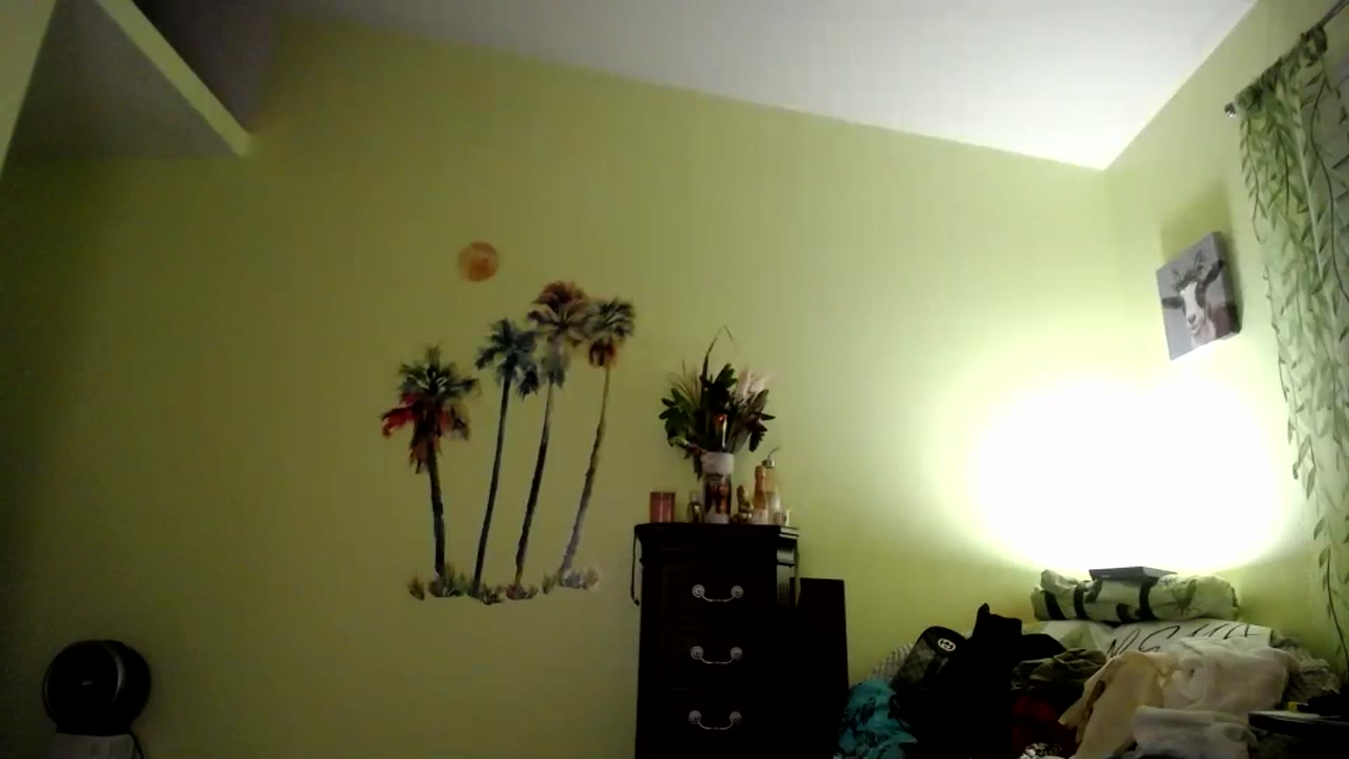 Gallery image thumbnail from XgothgurlX's myfreecams stream on, 06/03/2023, 06:37 image 8 of 20