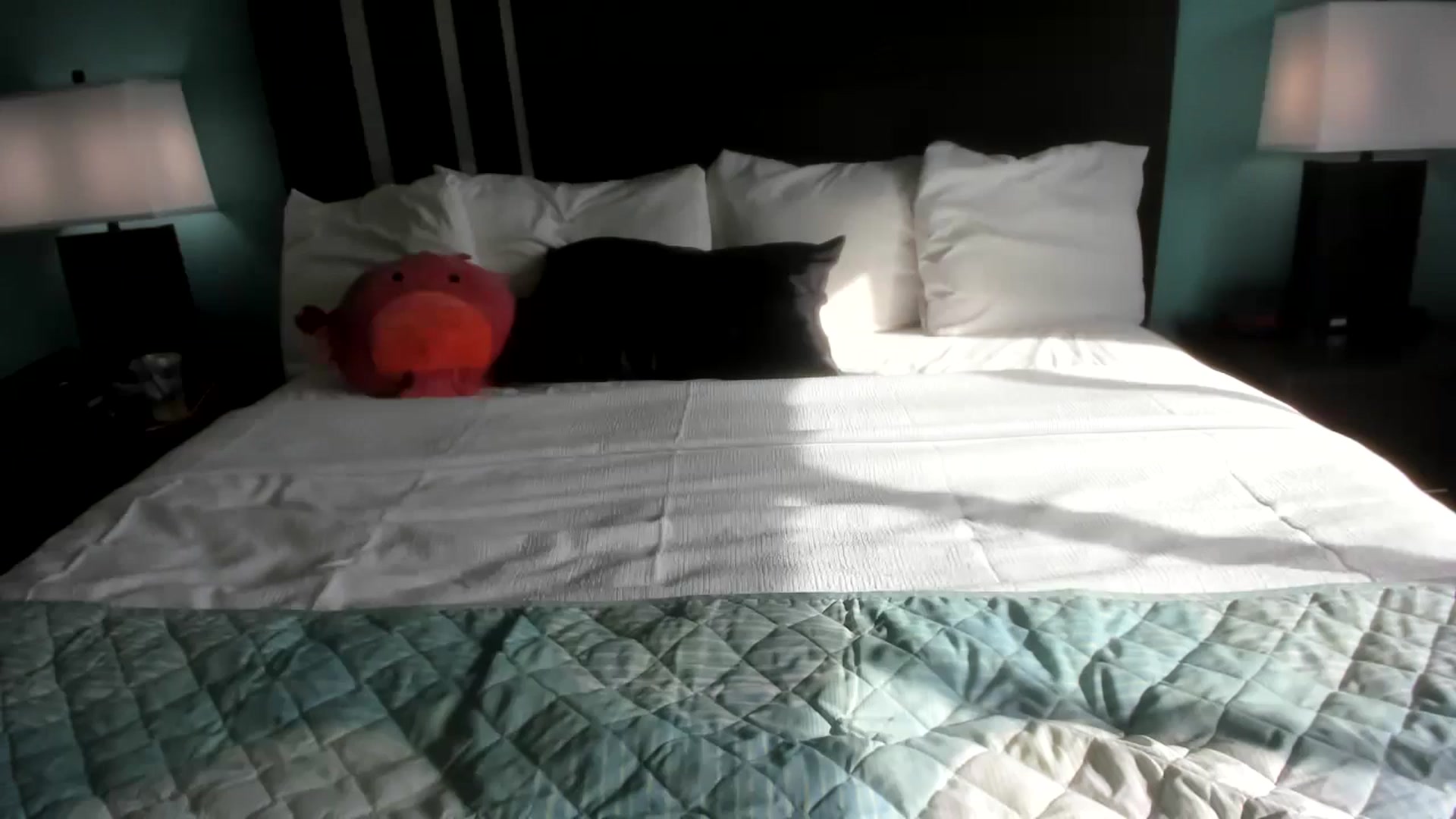 Gallery image thumbnail from XgothgurlX's myfreecams stream on, 05/18/2024, 24:57 image 7 of 20