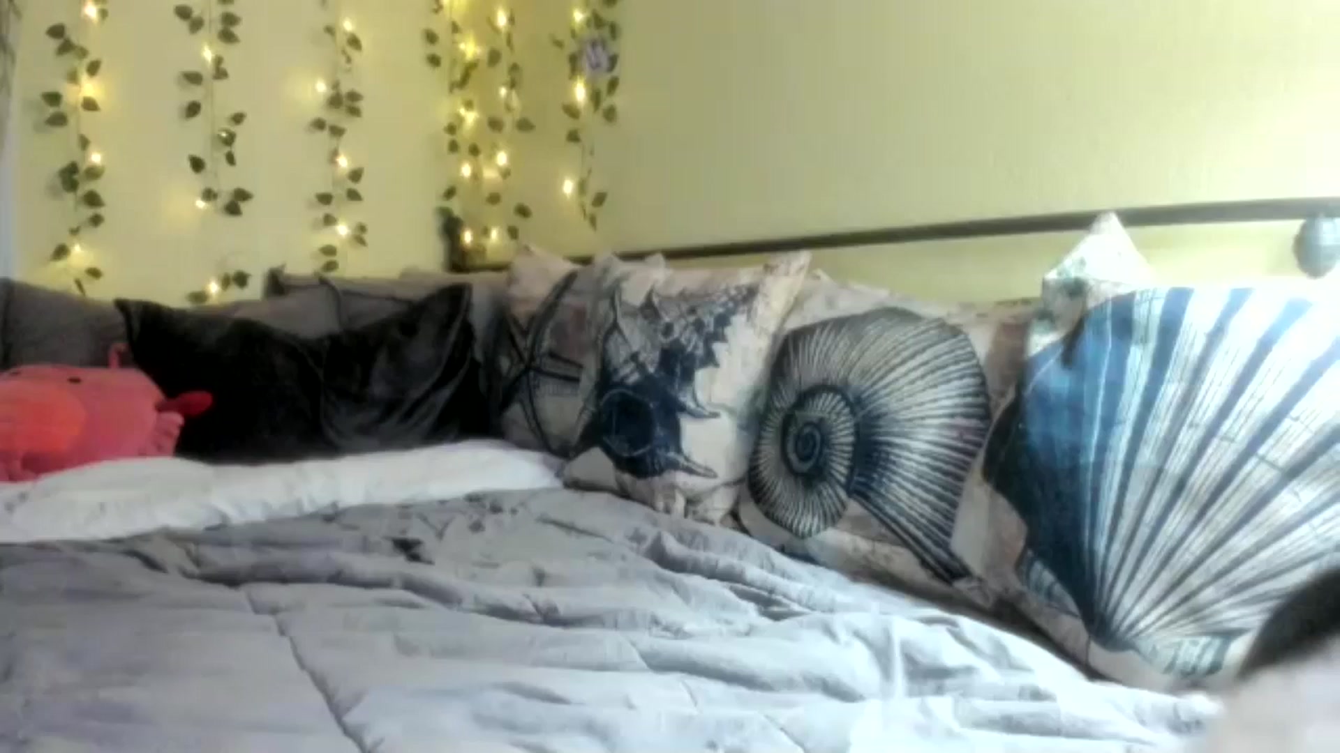 Gallery image thumbnail from XgothgurlX's myfreecams stream on, 07/20/2024, 08:10 image 6 of 20