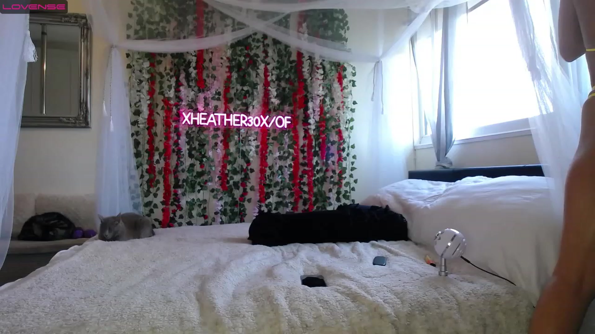 Gallery image thumbnail from Xheather30x's myfreecams stream on, 02/13/2023, 11:35 image 6 of 20