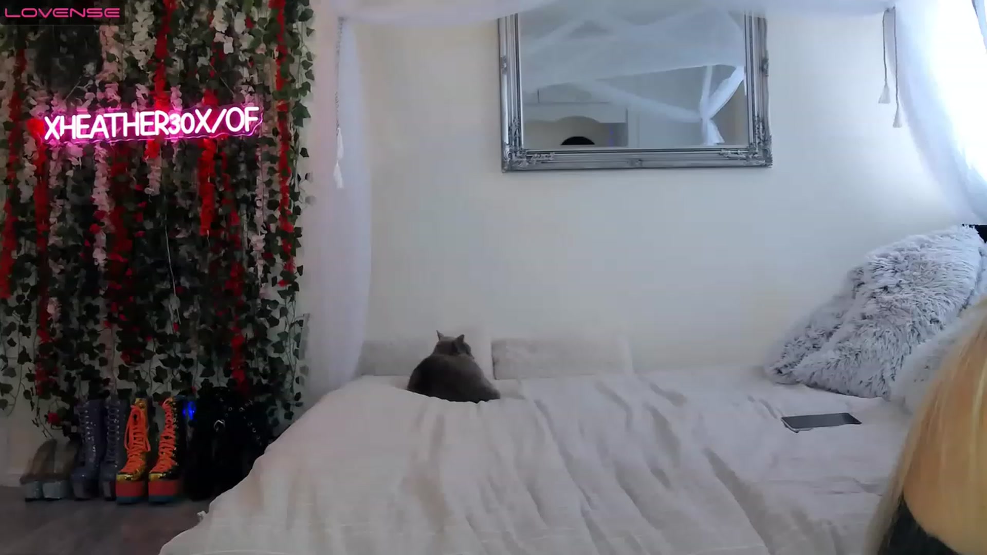 Gallery image thumbnail from Xheather30x's myfreecams stream on, 03/02/2023, 11:46 image 1 of 20