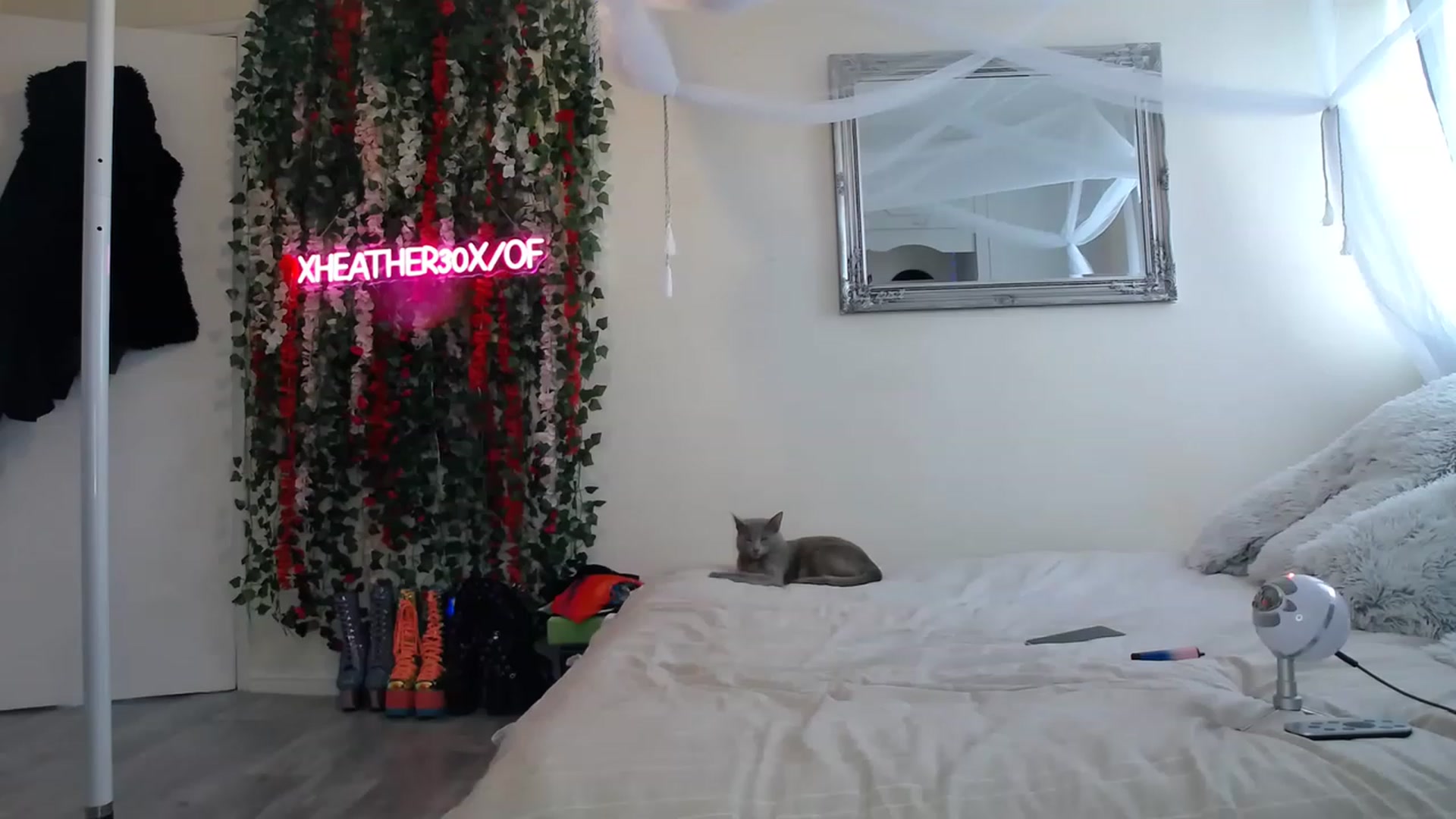 Gallery image thumbnail from Xheather30x's myfreecams stream on, 03/20/2023, 11:59 image 7 of 20