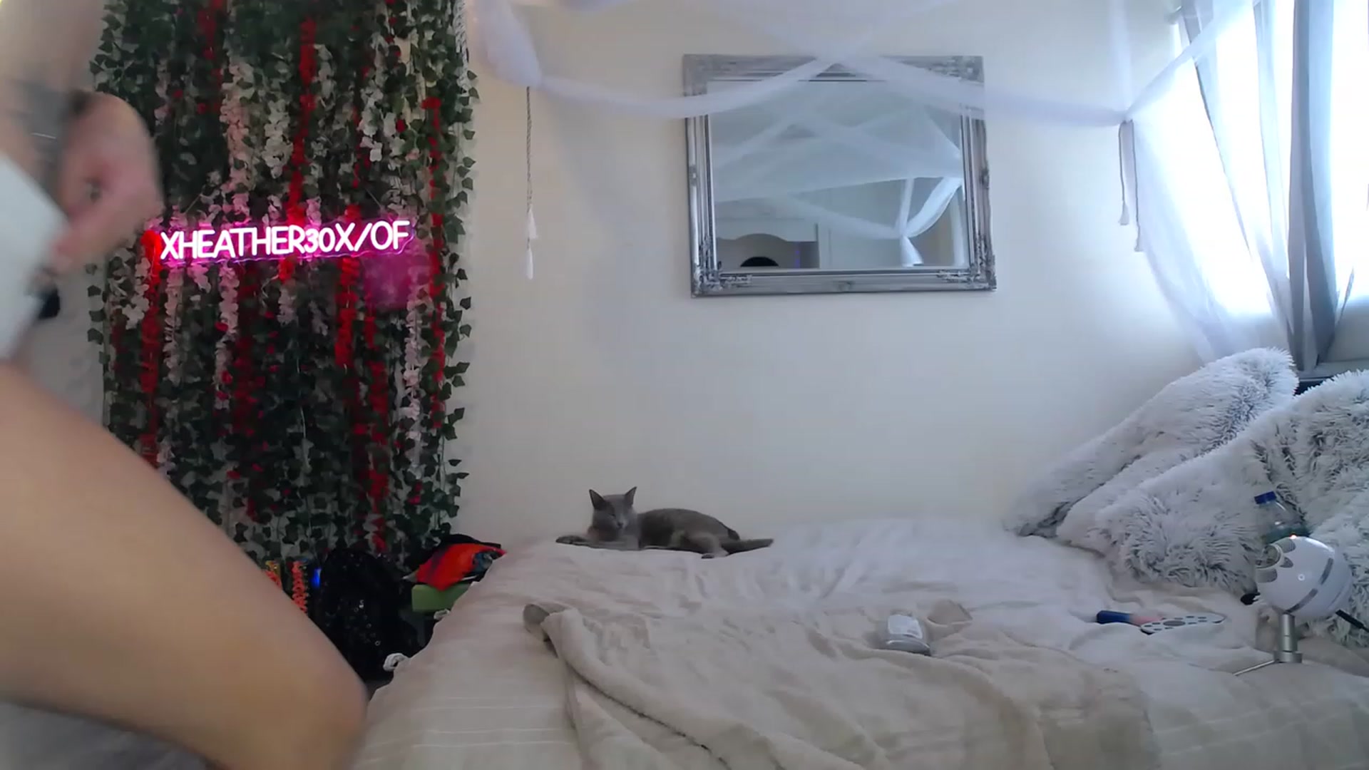 Gallery image thumbnail from Xheather30x's myfreecams stream on, 03/20/2023, 11:59 image 10 of 20