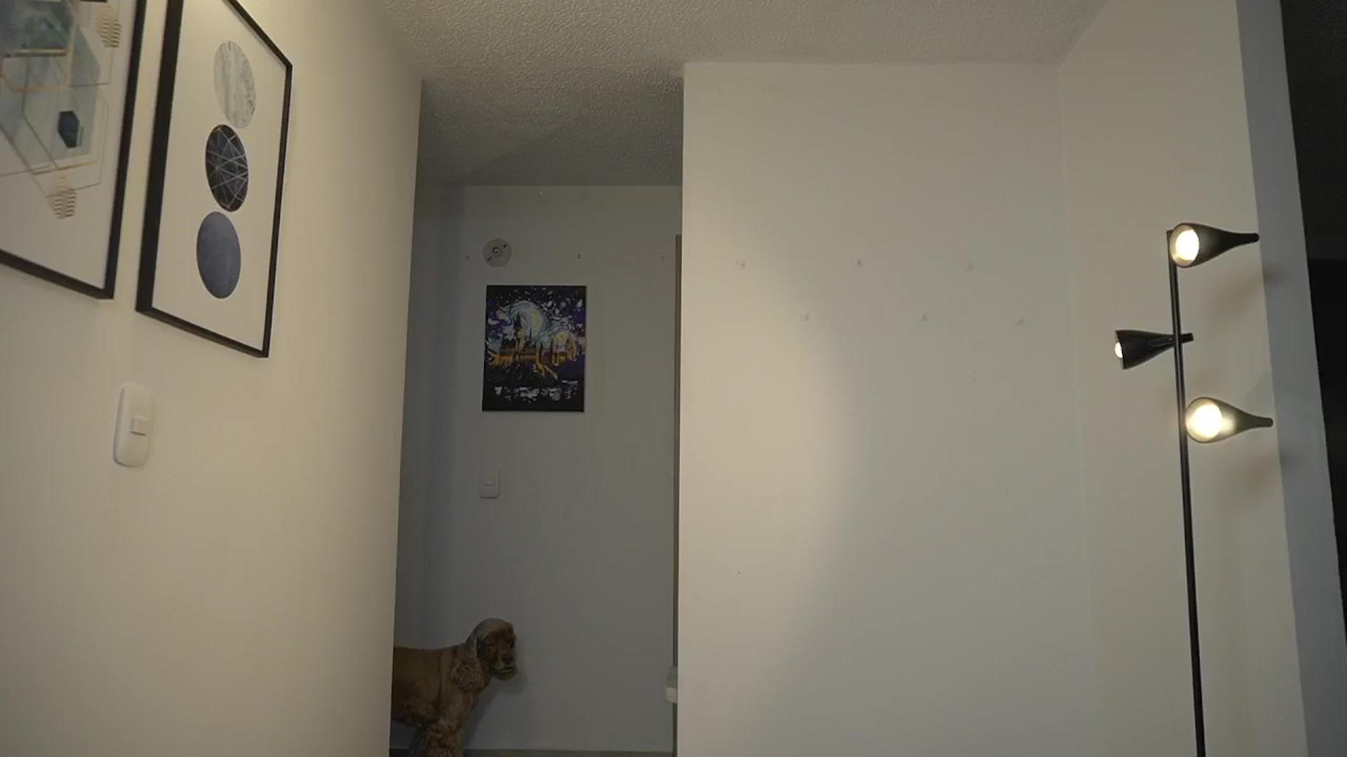 Gallery image thumbnail from Xialing's myfreecams stream on, 10/14/2024, 24:00 image 11 of 20