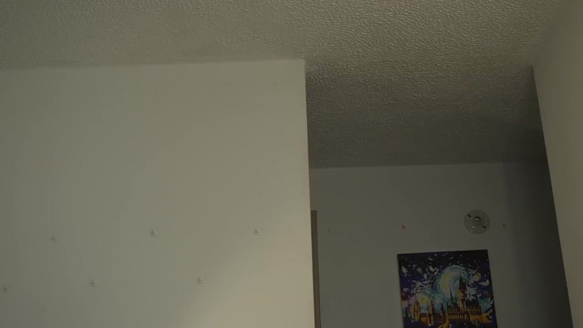 Gallery image thumbnail from Xialing's myfreecams stream on, 12/05/2024, 24:32 image 14 of 20