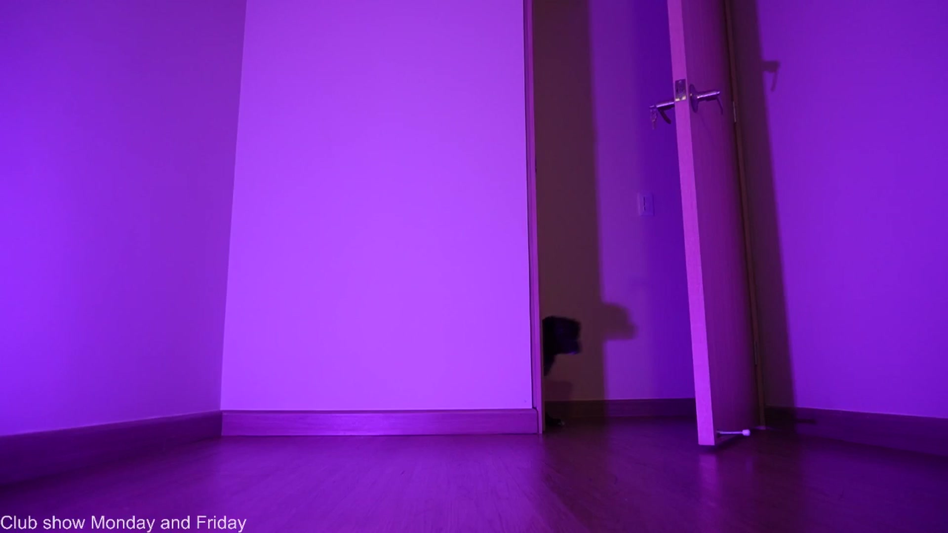 Gallery image thumbnail from Xialing's myfreecams stream on, 10/29/2025, 24:35 image 18 of 20