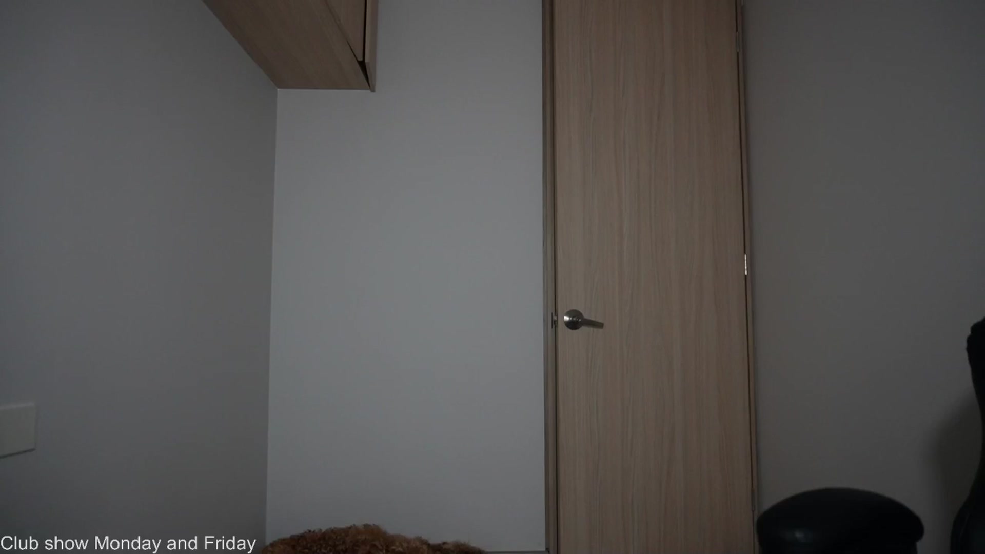 Gallery image thumbnail from Xialing's myfreecams stream on, 12/08/2025, 23:54 image 14 of 20