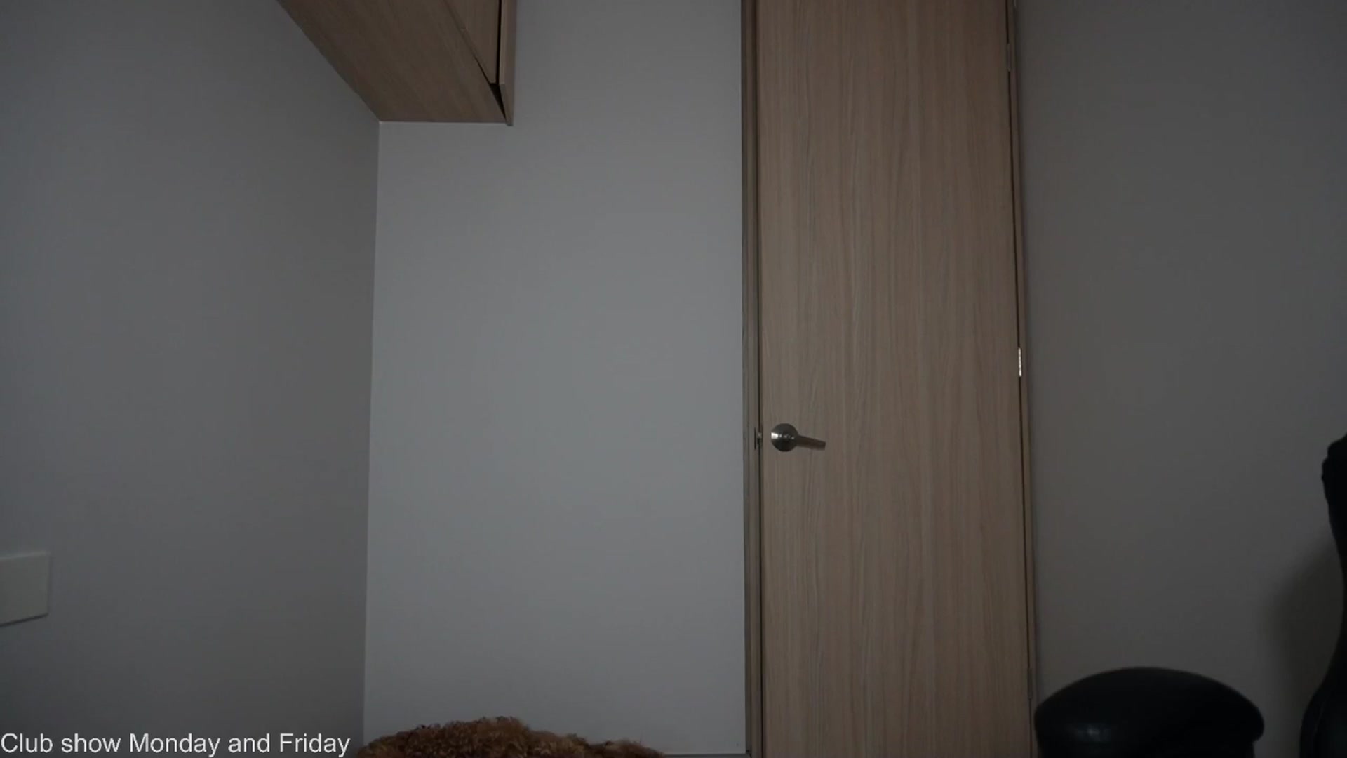 Gallery image thumbnail from Xialing's myfreecams stream on, 12/08/2025, 23:54 image 13 of 20
