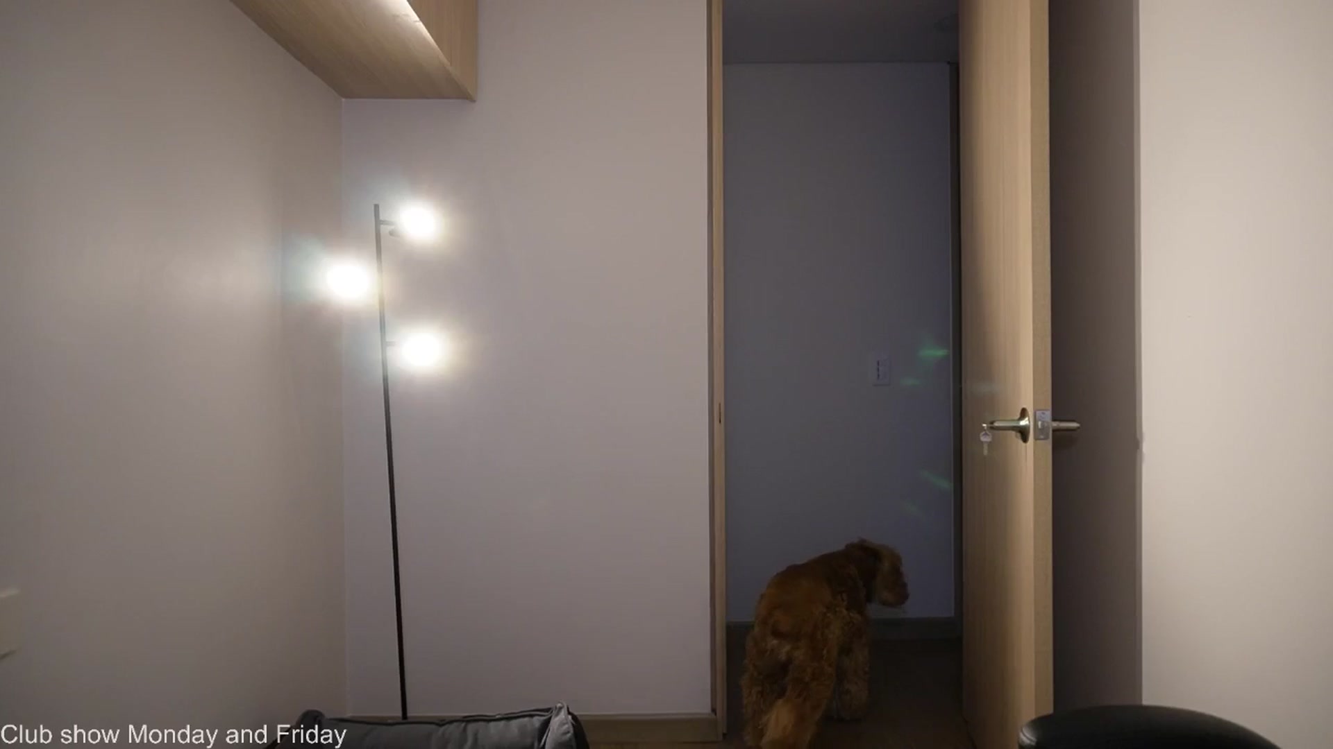 Gallery image thumbnail from Xialing's myfreecams stream on, 03/25/2026, 24:31 image 4 of 20