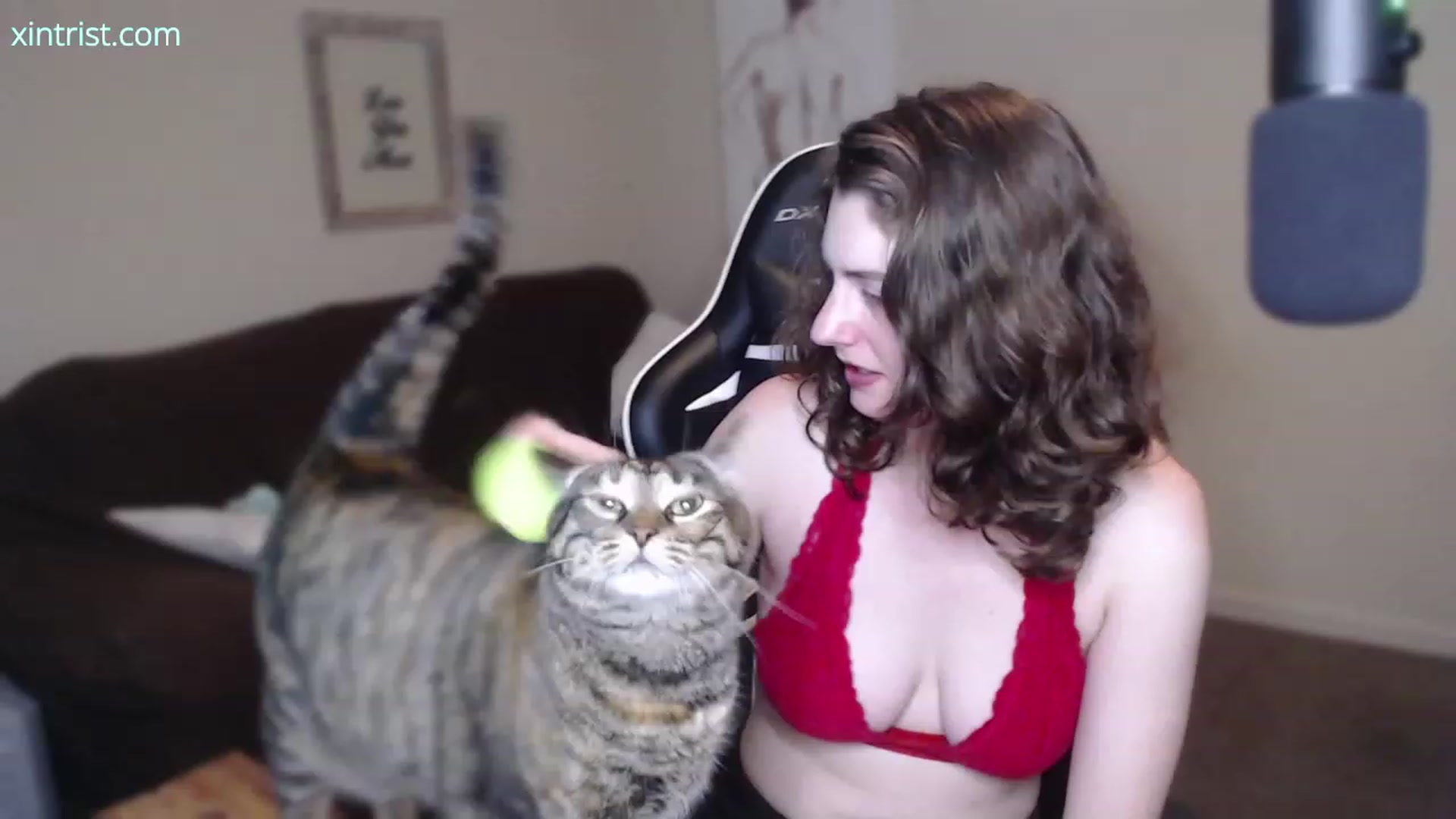 Gallery image thumbnail from Xintrist's myfreecams stream on, 07/25/2023, 05:16 image 6 of 20