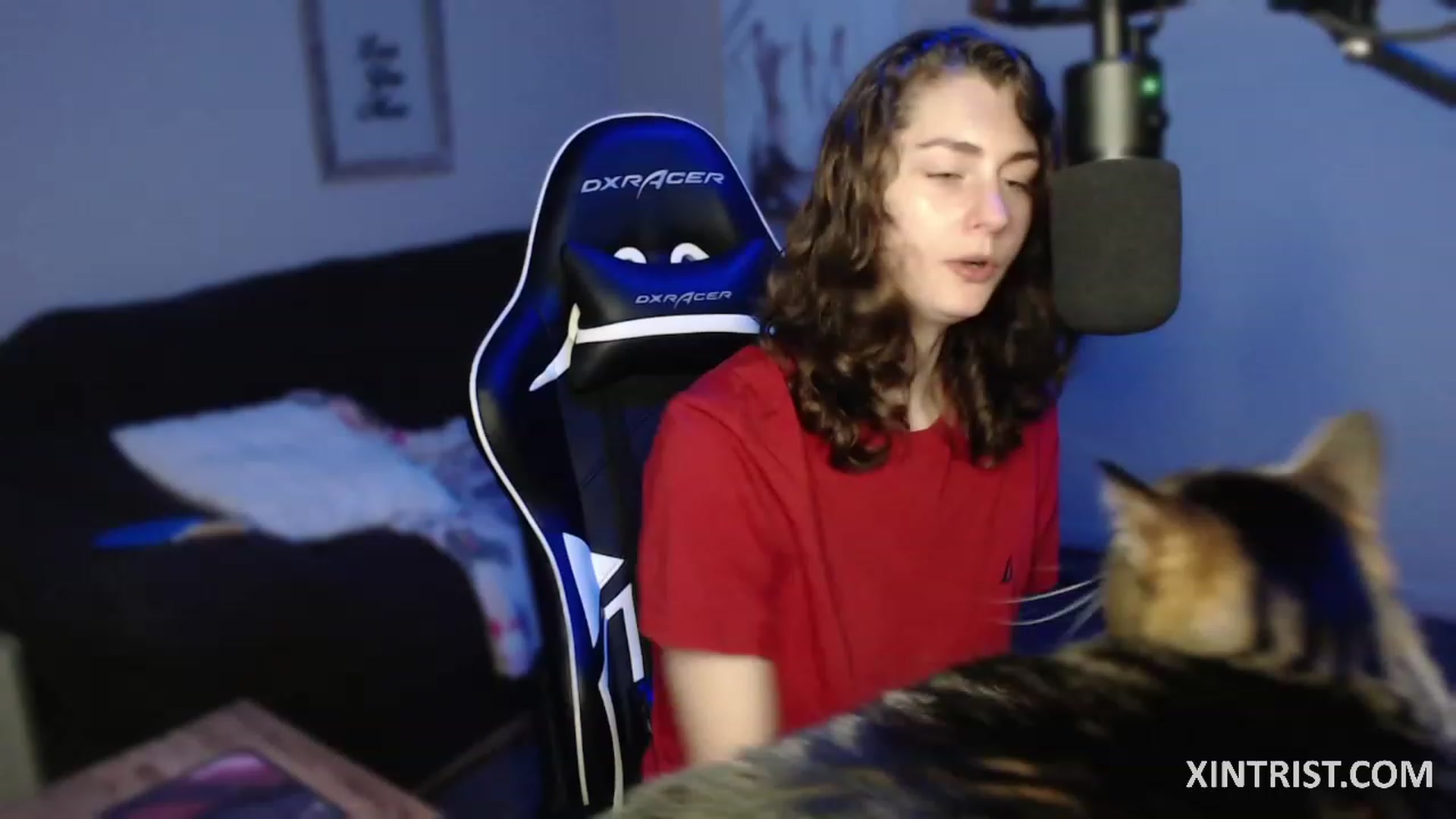 Gallery image thumbnail from Xintrist's myfreecams stream on, 08/01/2023, 02:32 image 2 of 20