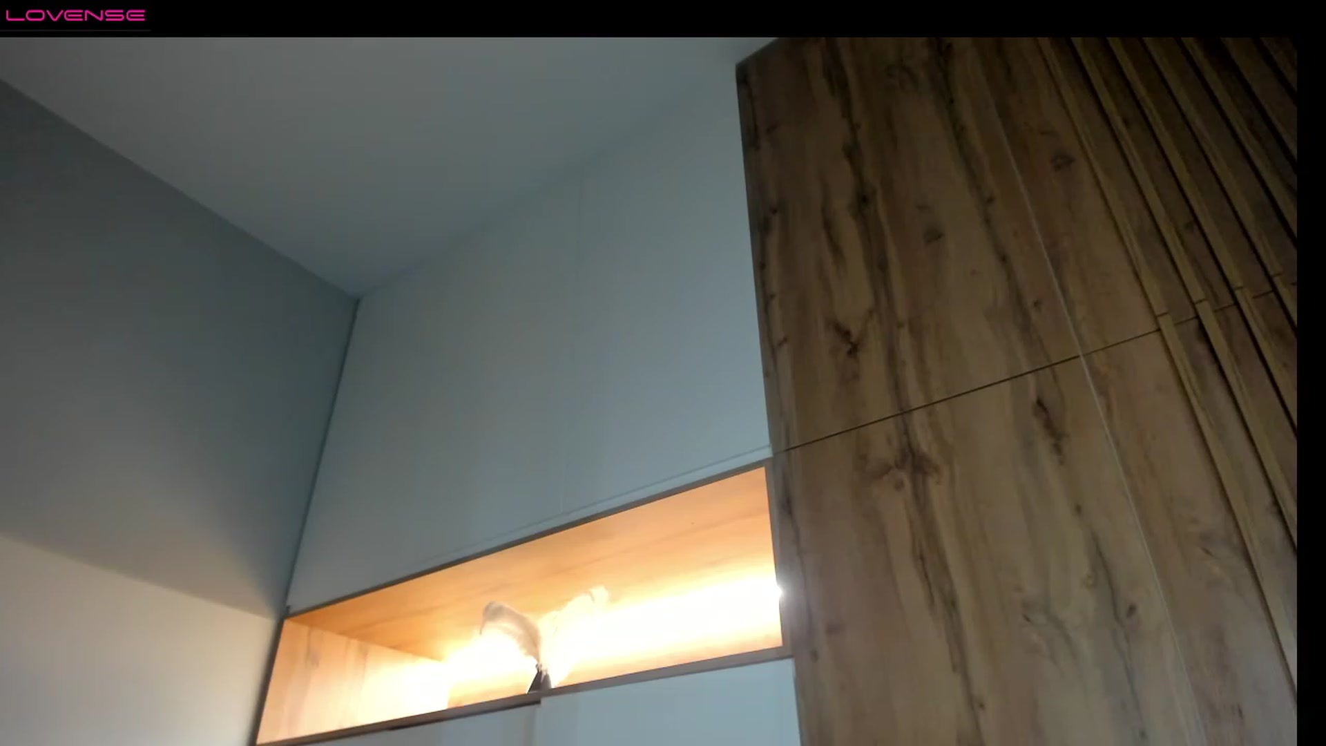 Gallery image thumbnail from XmasKate's myfreecams stream on, 12/25/2022, 21:05 image 11 of 20