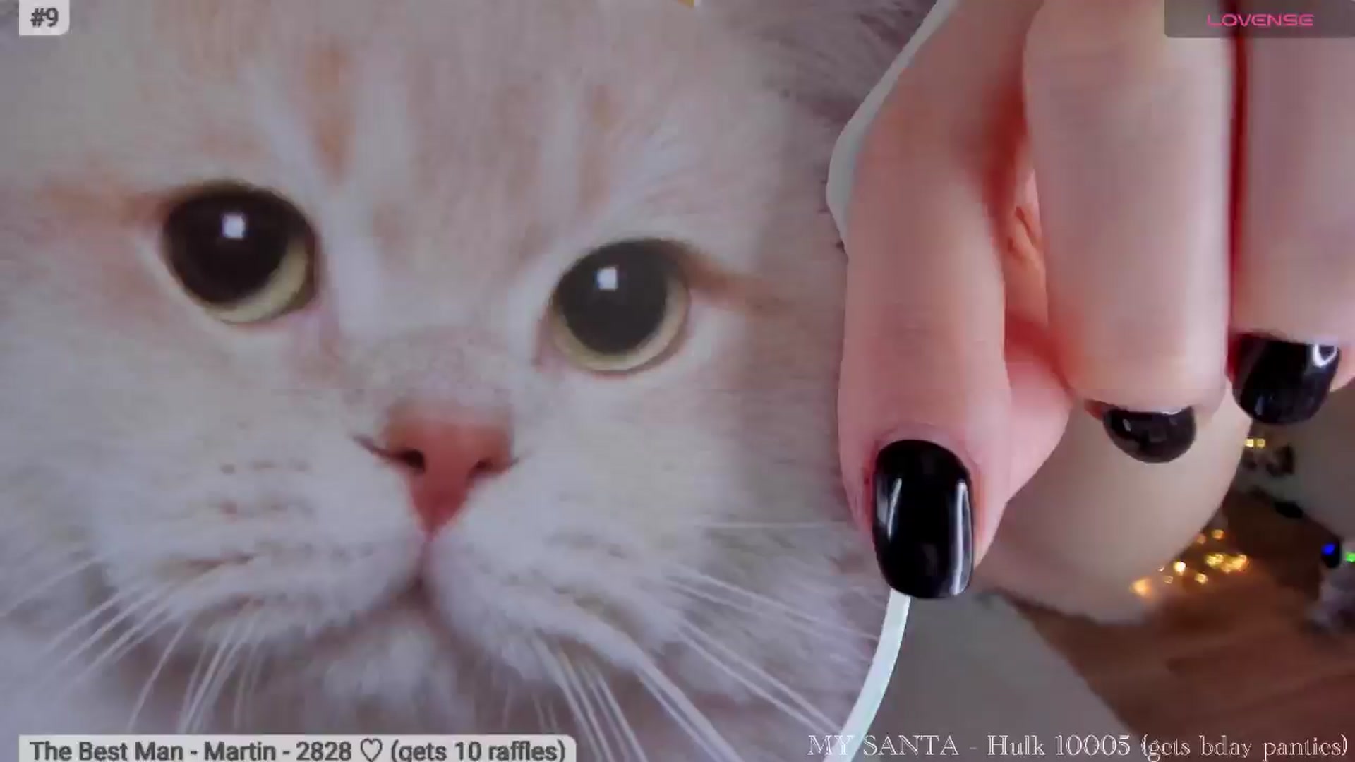 Gallery image thumbnail from Xmas_Baby's myfreecams stream on, 12/16/2025, 06:59 image 2 of 20