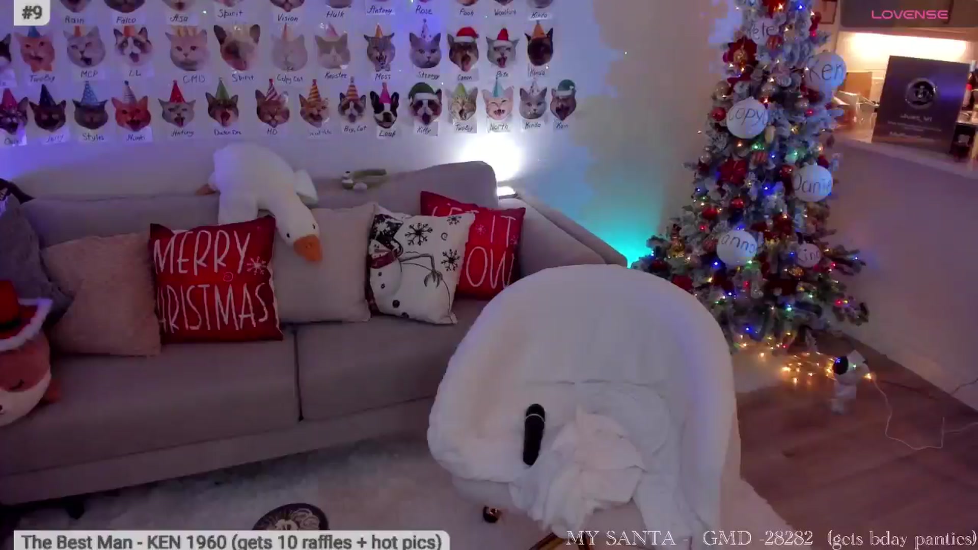 Gallery image thumbnail from Xmas_Baby's myfreecams stream on, 12/18/2025, 06:23 image 9 of 20