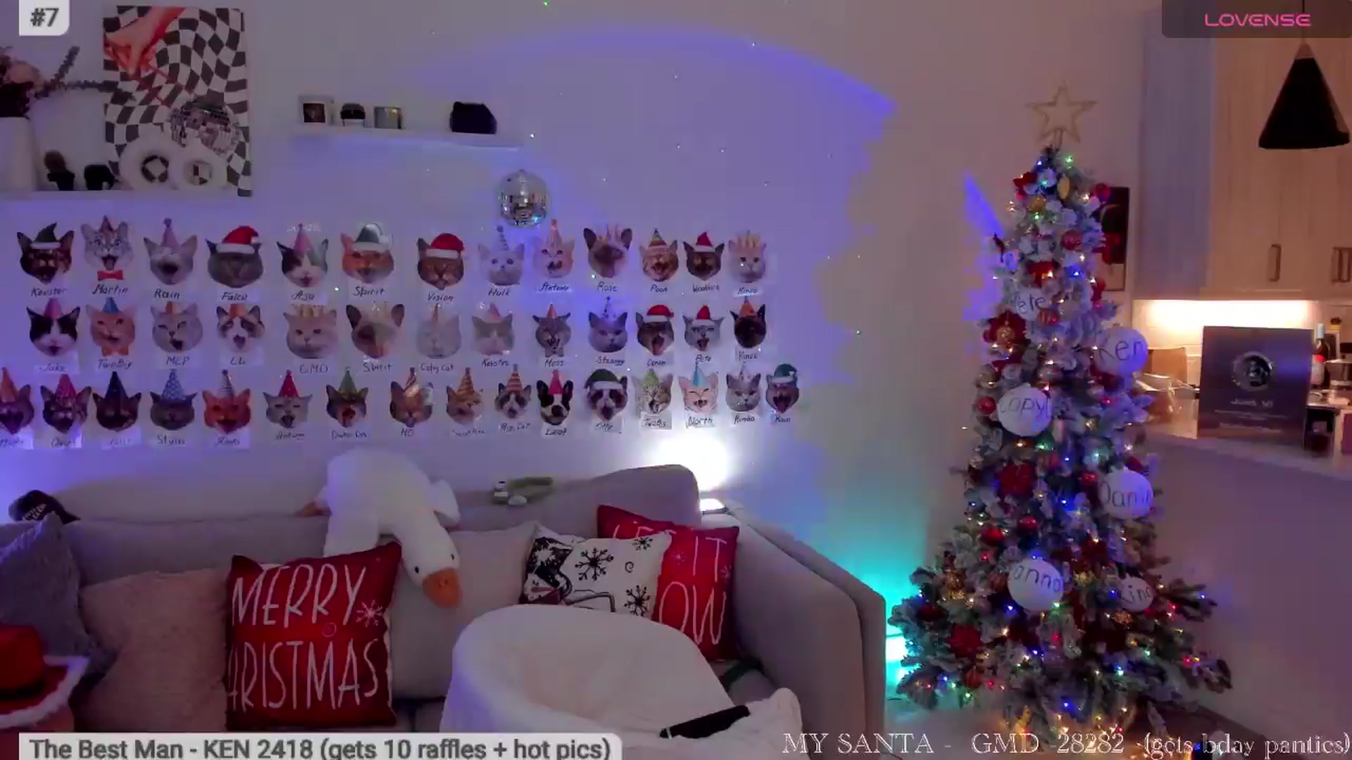 Gallery image thumbnail from Xmas_Baby's myfreecams stream on, 12/18/2025, 09:17 image 6 of 20