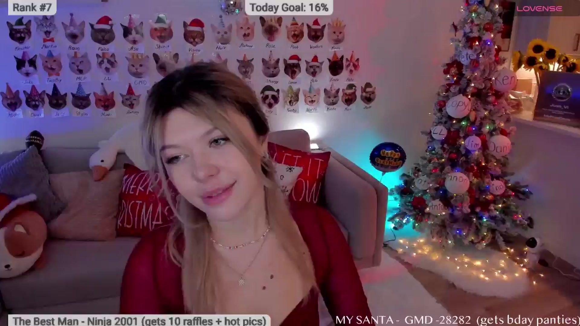 Gallery image thumbnail from Xmas_Baby's myfreecams stream on, 12/21/2025, 06:22 image 13 of 20